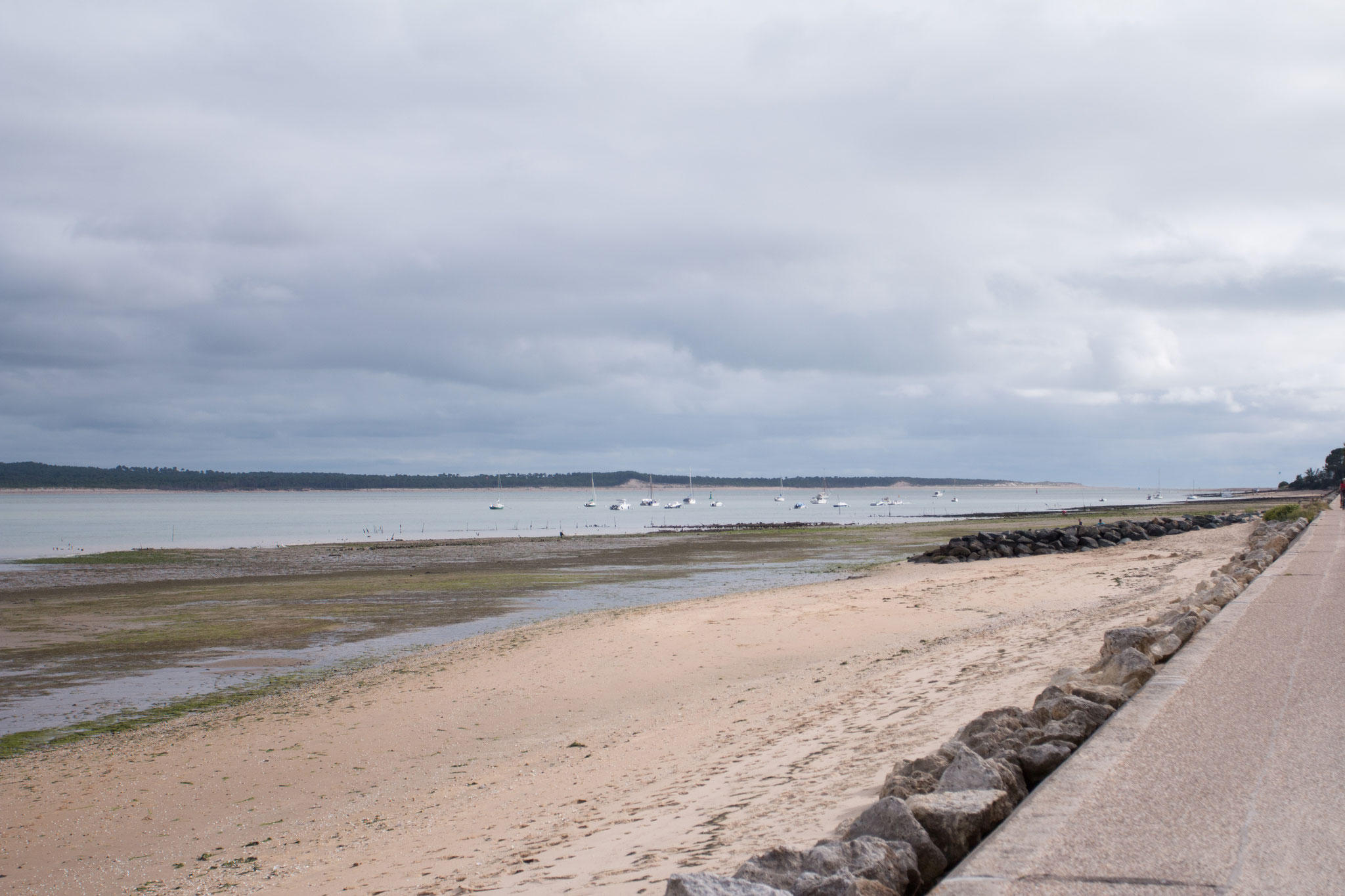Ile d'Oleron Photo12