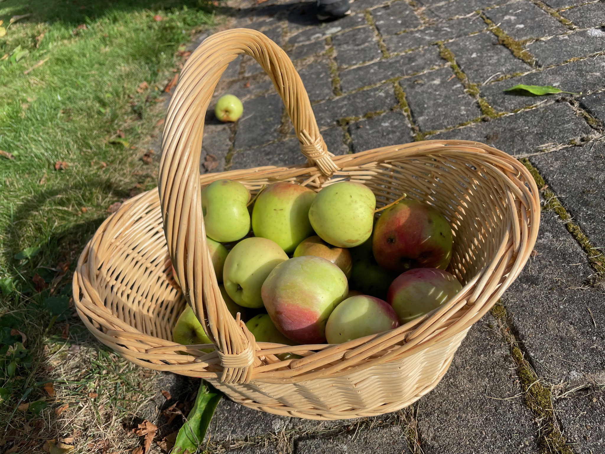 Ein Apfel kommt selten allein - Apfel für Apfel landeten im Korb