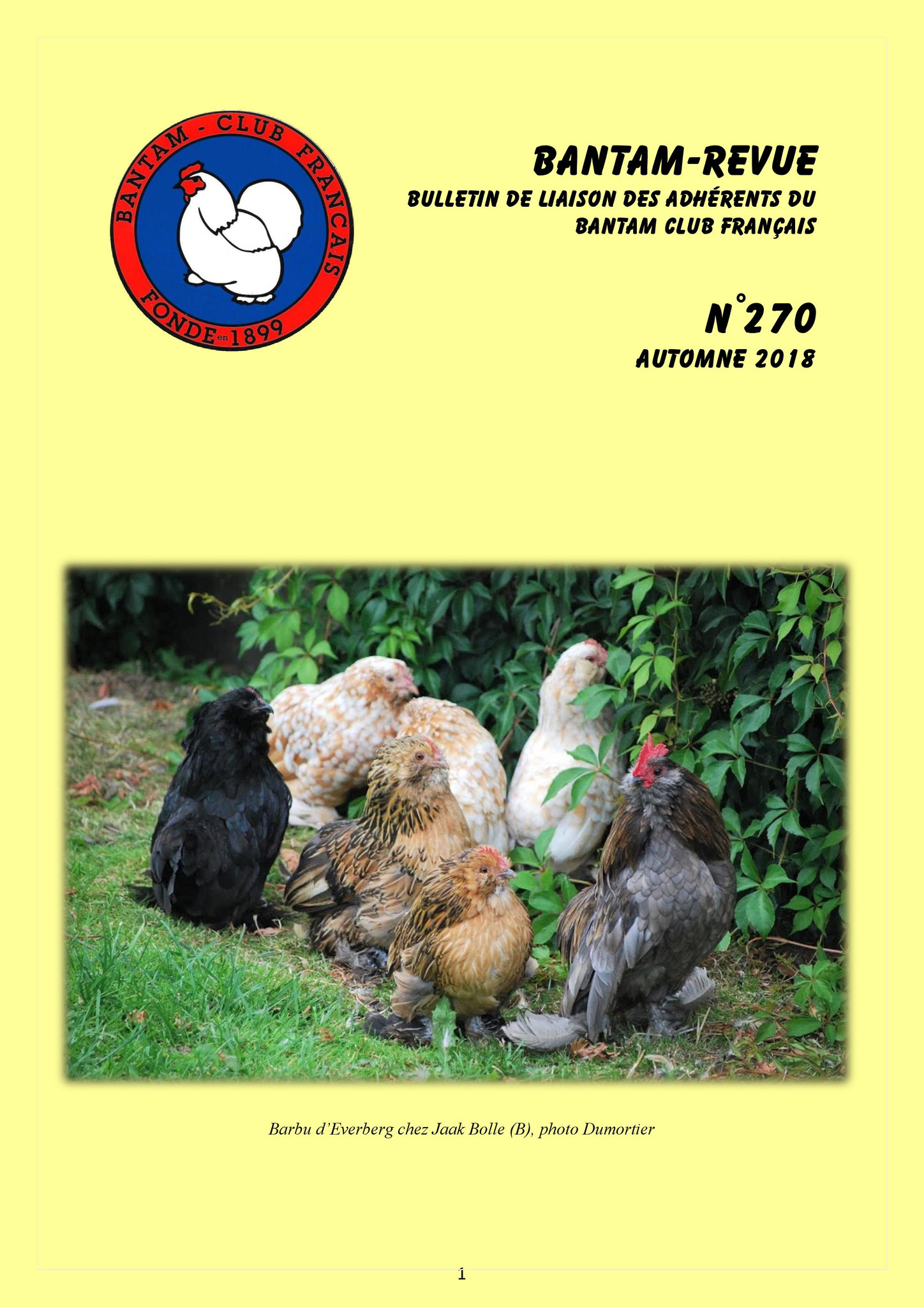 Sommaire : N'essayons pas de brûler les étapes / La Pictave : la race naine française / Vie du club / La Cou Nu du Forez naine / Des grandes races au milieu des naines / Le type du Barbu d'Everberg