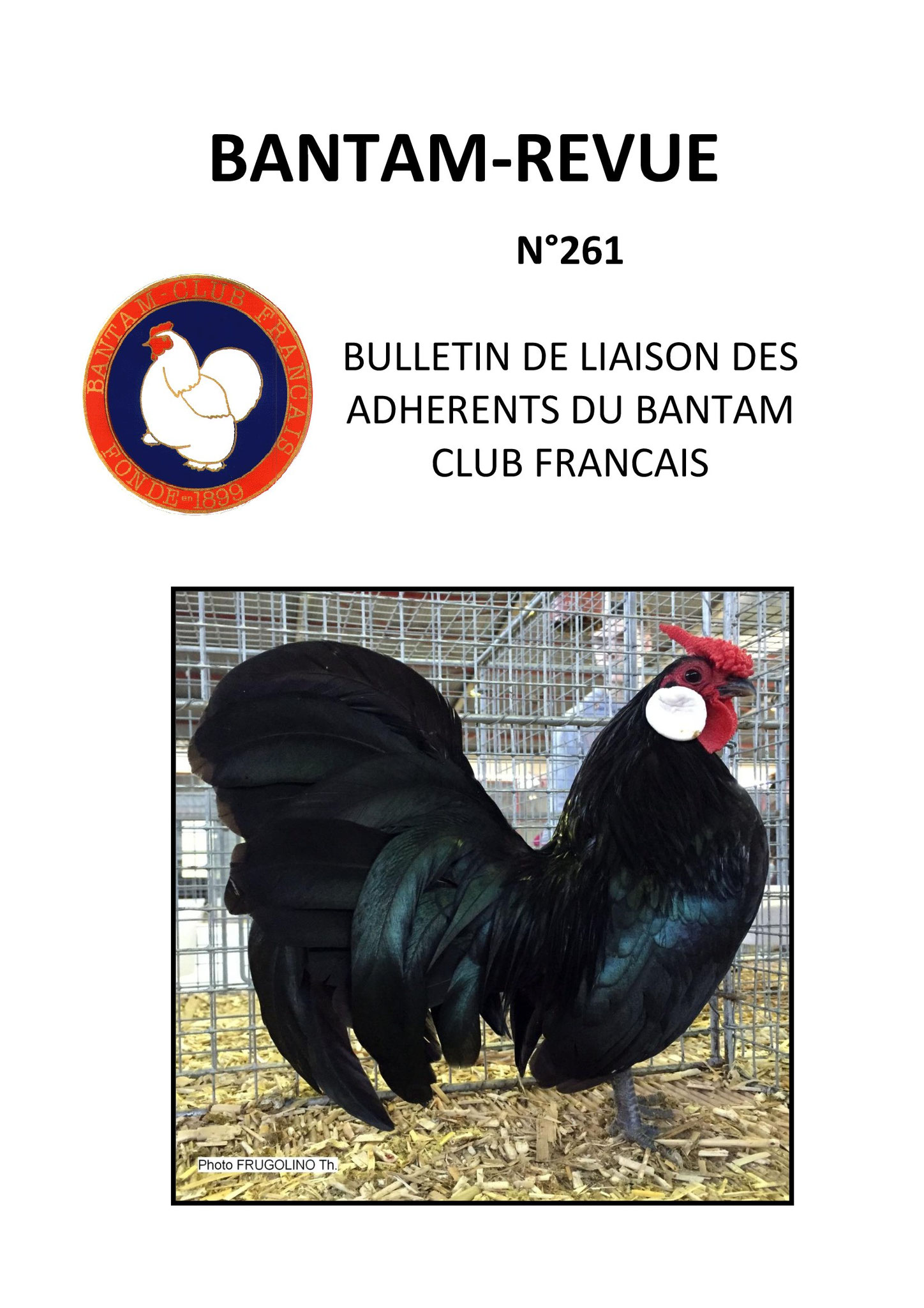 Sommaire :