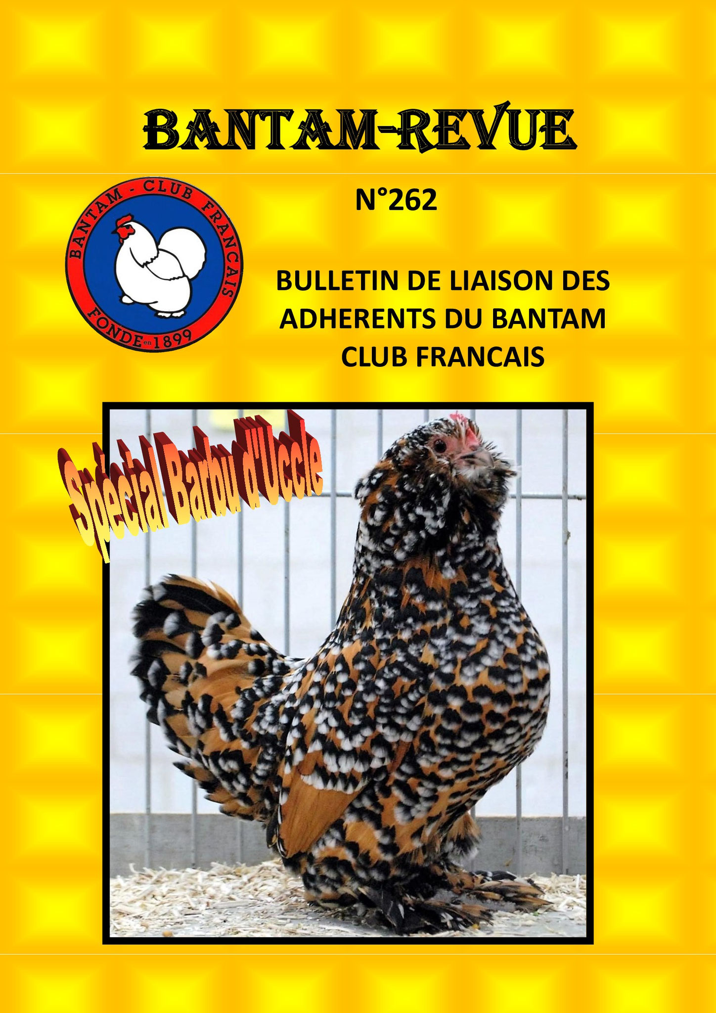 Sommaire spéciale Barbu d'Uccle : Le Barbu d'Uccle (1) / Barbu d'Uccle et Sabelpoot / Le Barbu d'Uccle (2) / Le beau se fait rare / A propos du Barbu d'Uccle / Le plumage mille-fleurs / Le plumage fauve caillouté blanc / CR des championnats régionaux