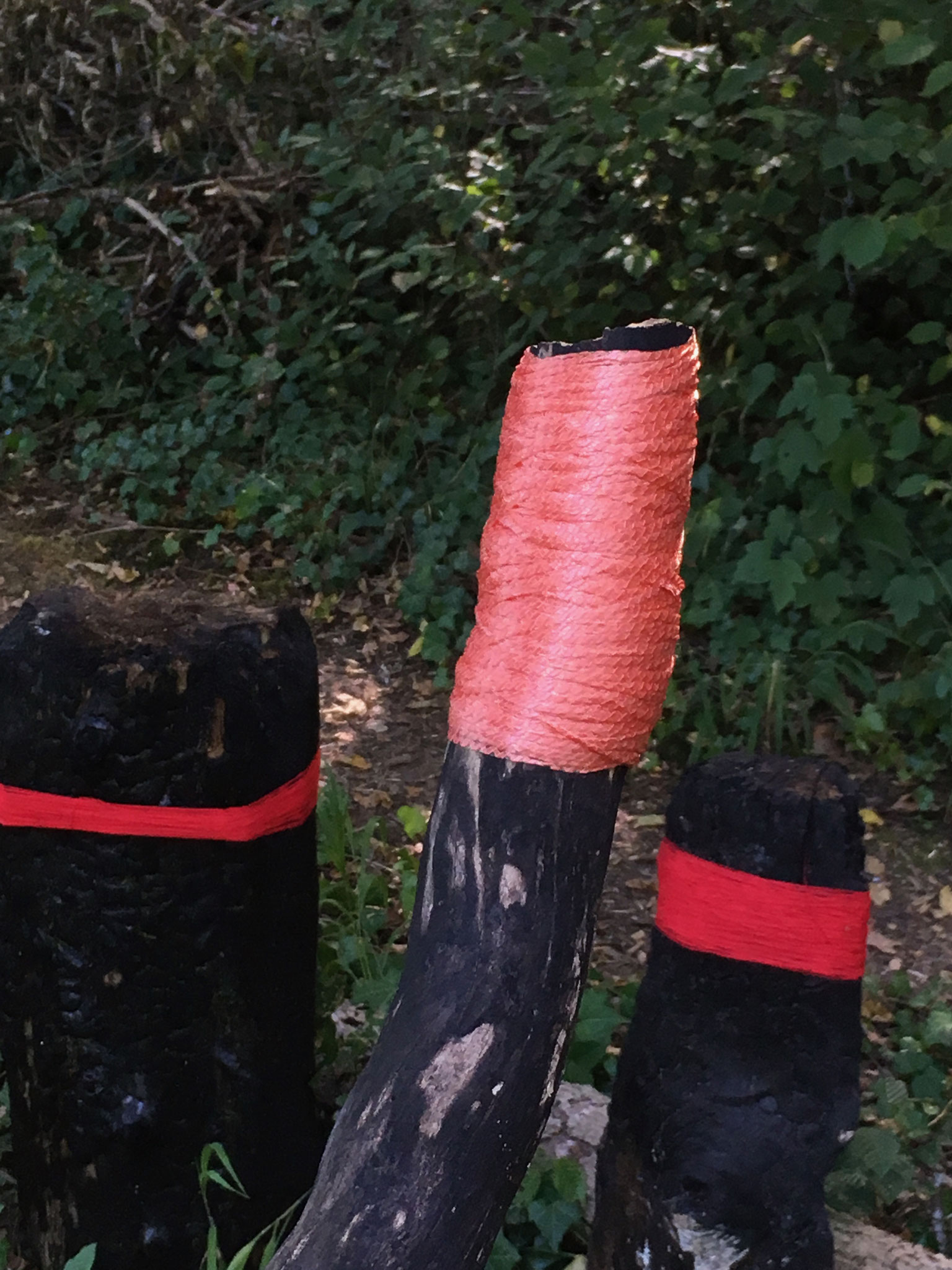 Ik was mijn handen in onschuld (detail).