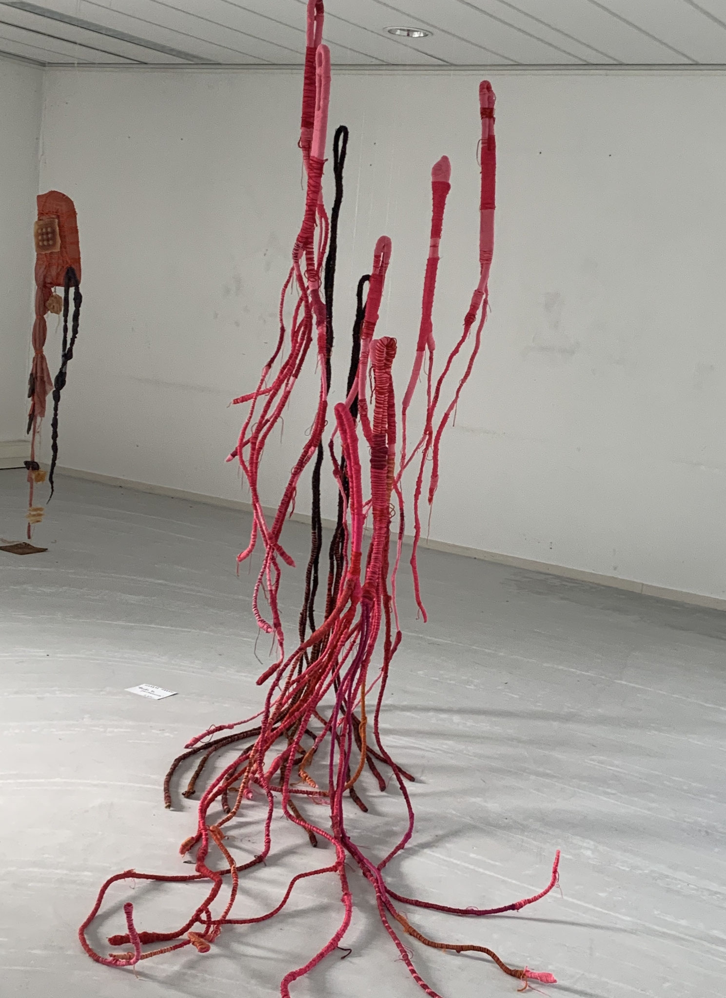 Roots to Pachamama