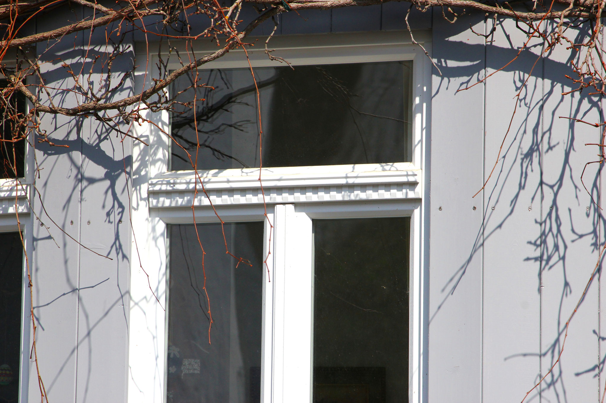 Holzfenster im Denkmalschutz der Schreinerei Wilden GmbH