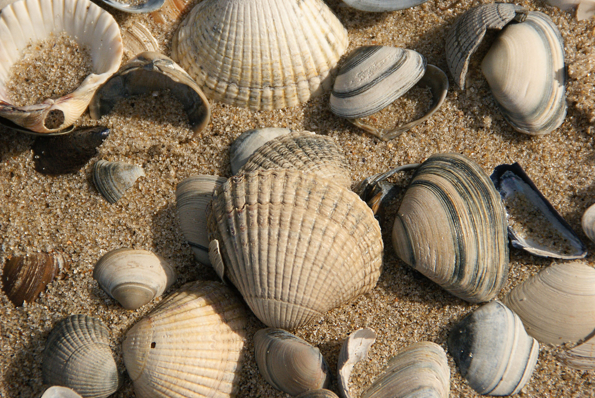 Sylt, Deutschland