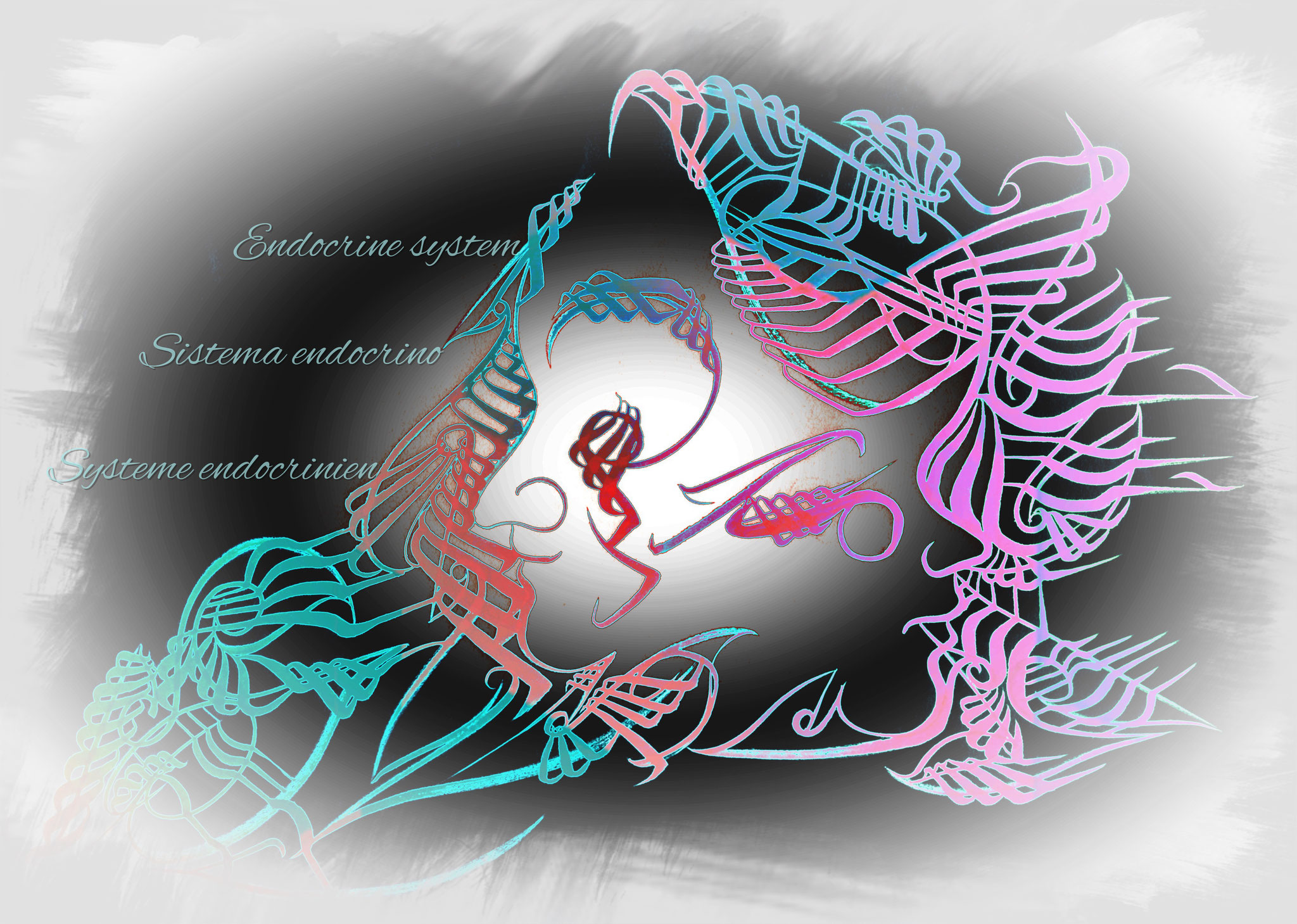 Système endocrinien