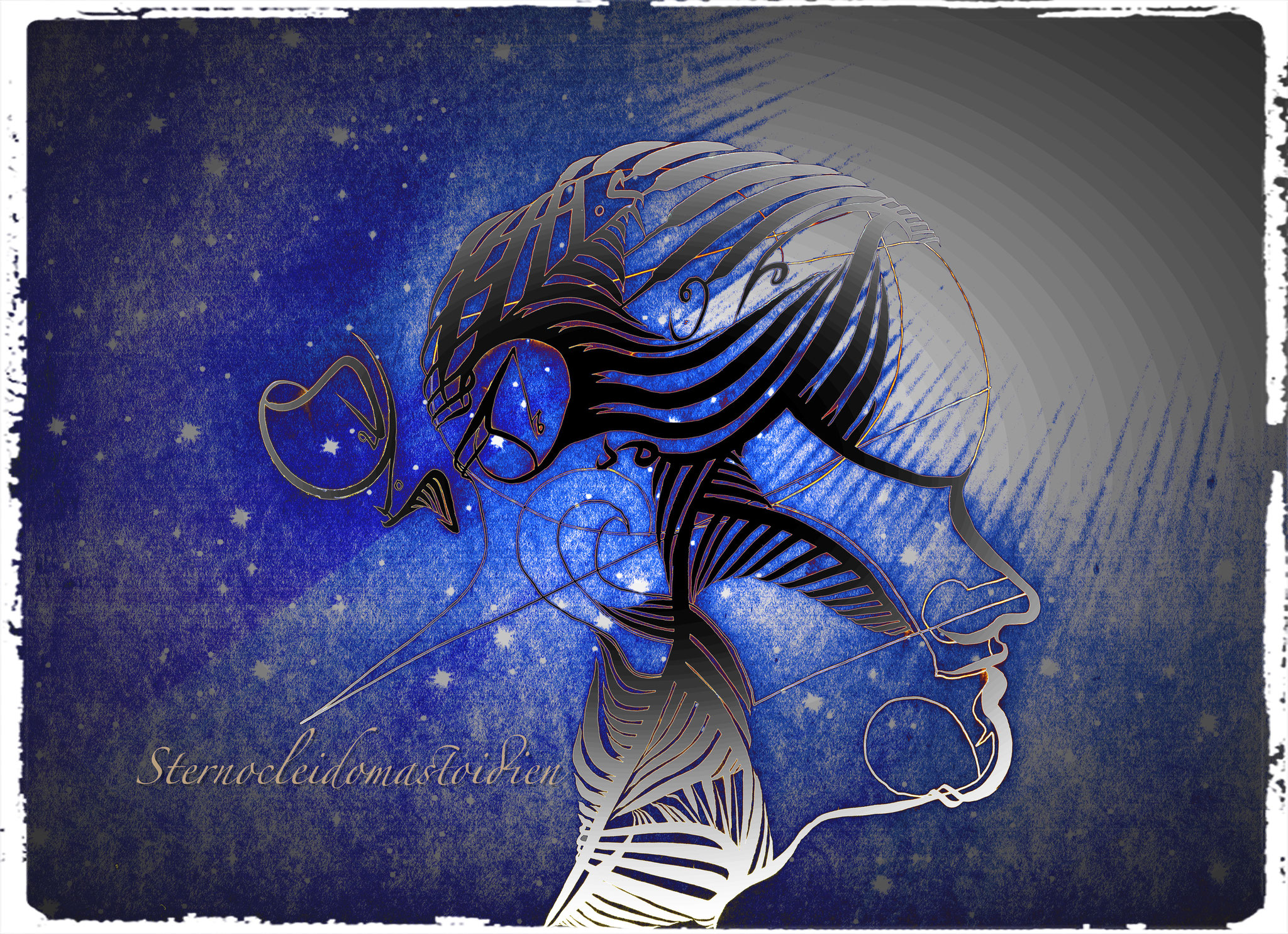 Neck:Head Movements