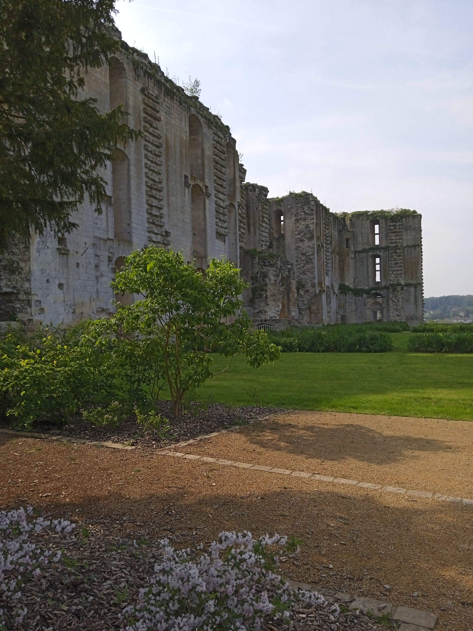 La Ferté Milon, Ruines du Château du duc d'Orléans (dept 02).
