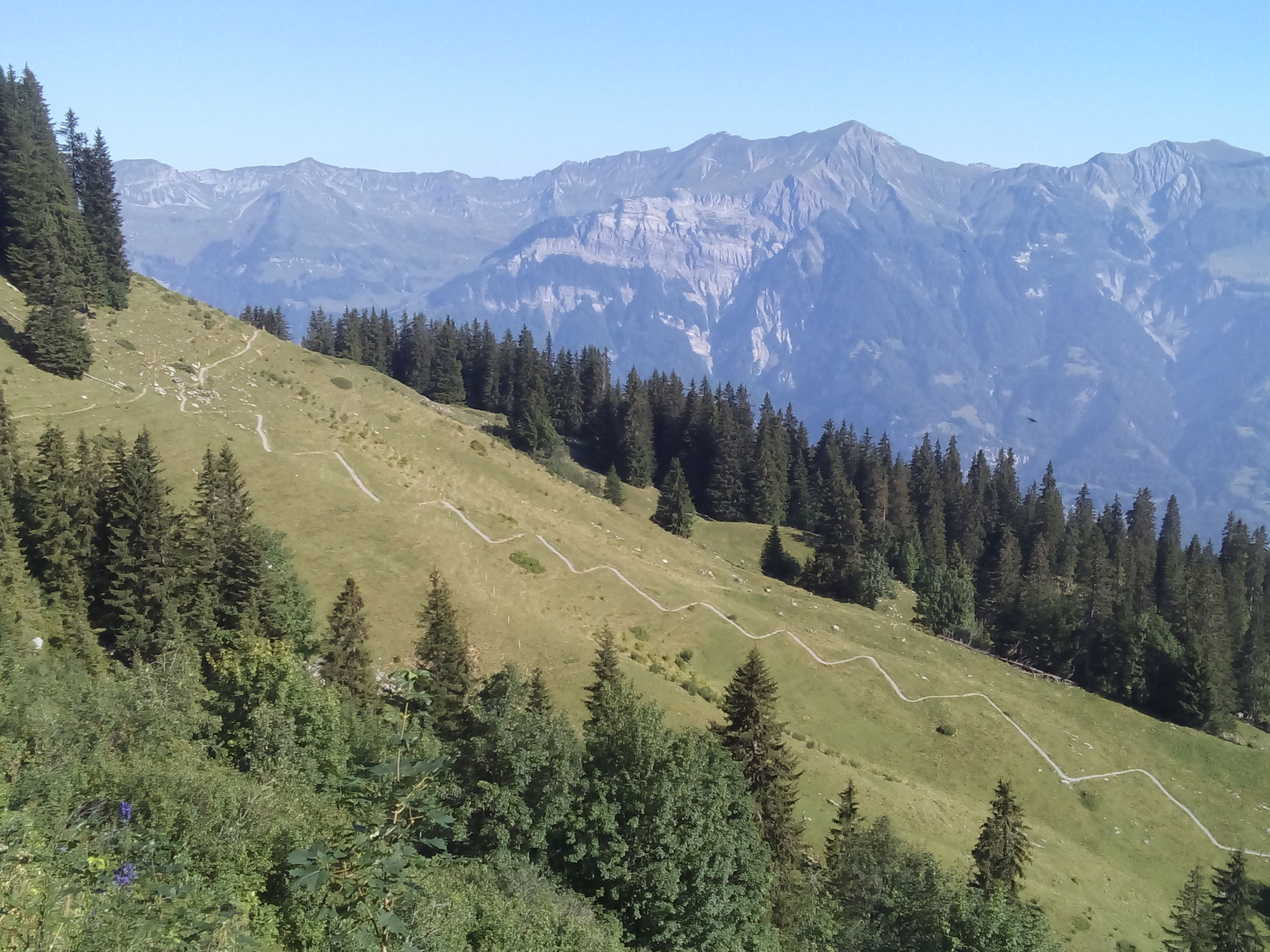 Axalp - Grosse Scheidegg BE 3.8.2018