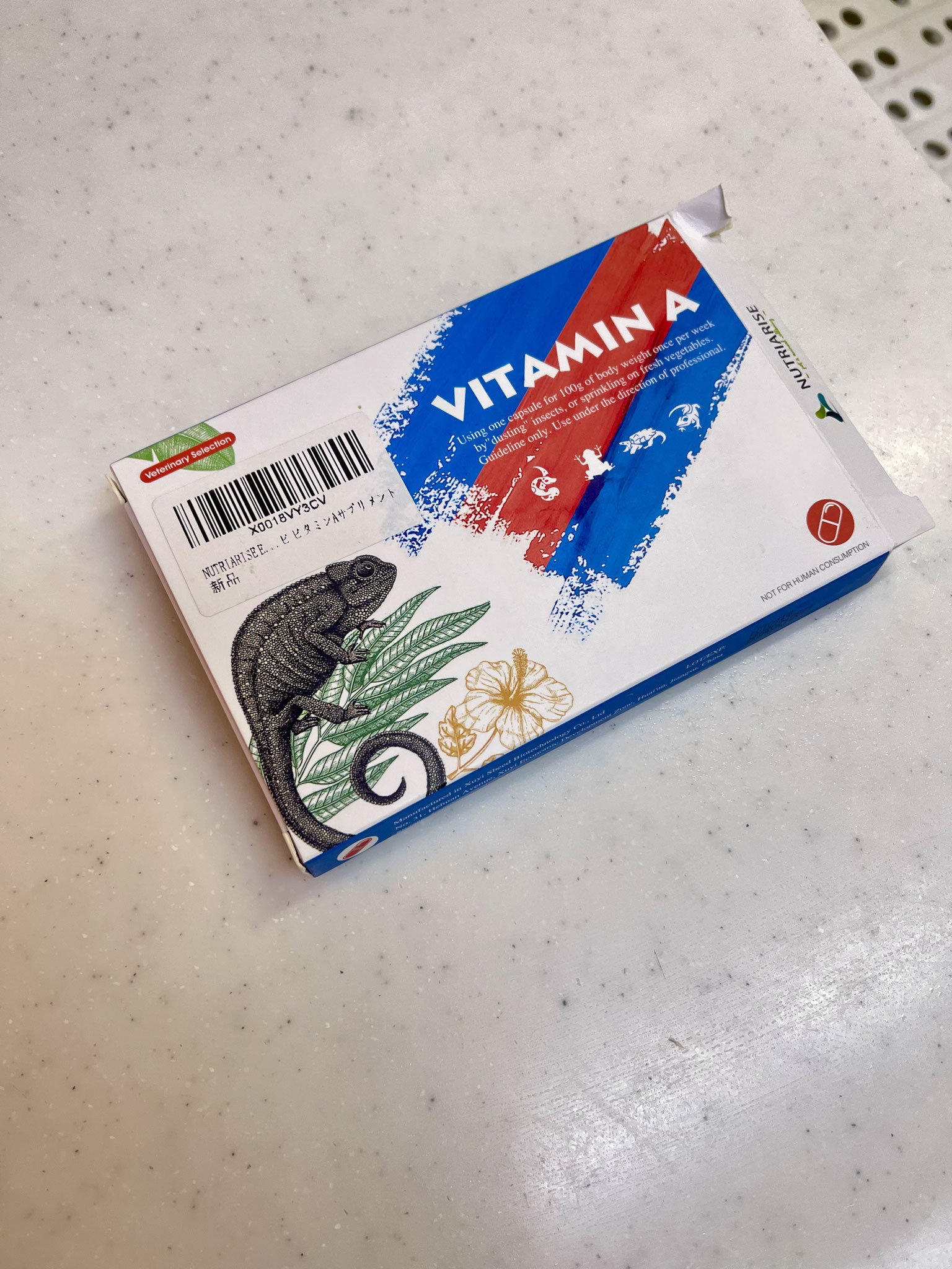 表側
