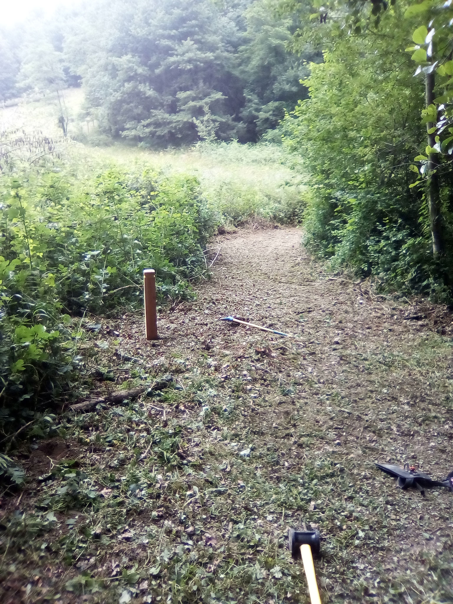 Débroussaillage et pose de balisage