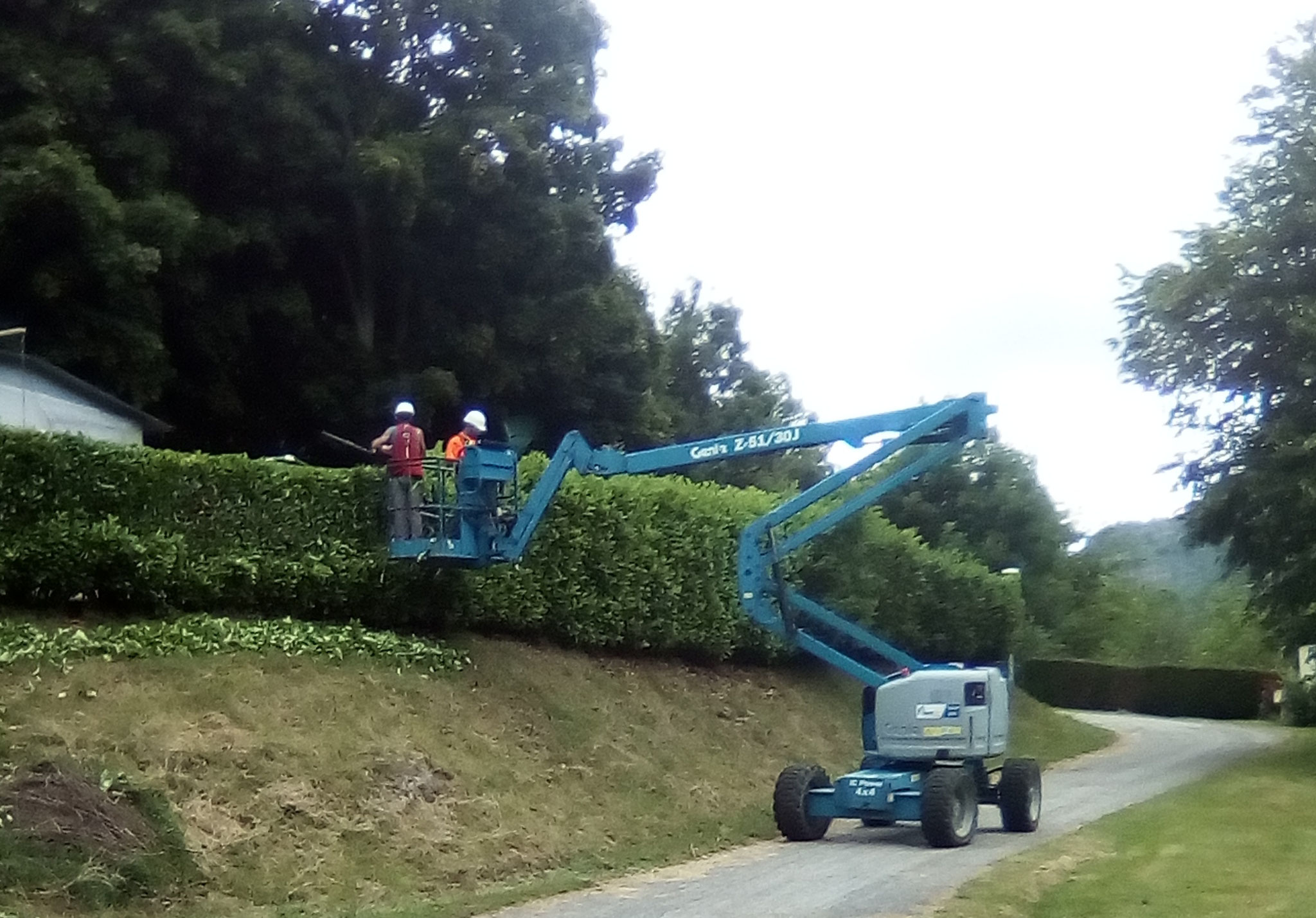 Taille de haie avec nacelle