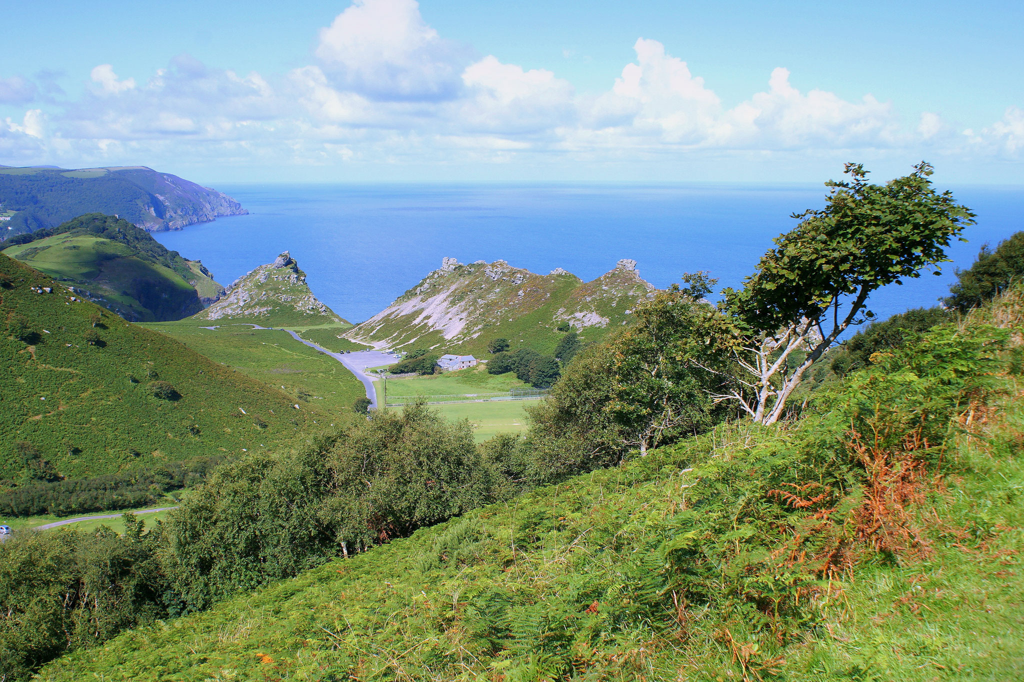 Lynton