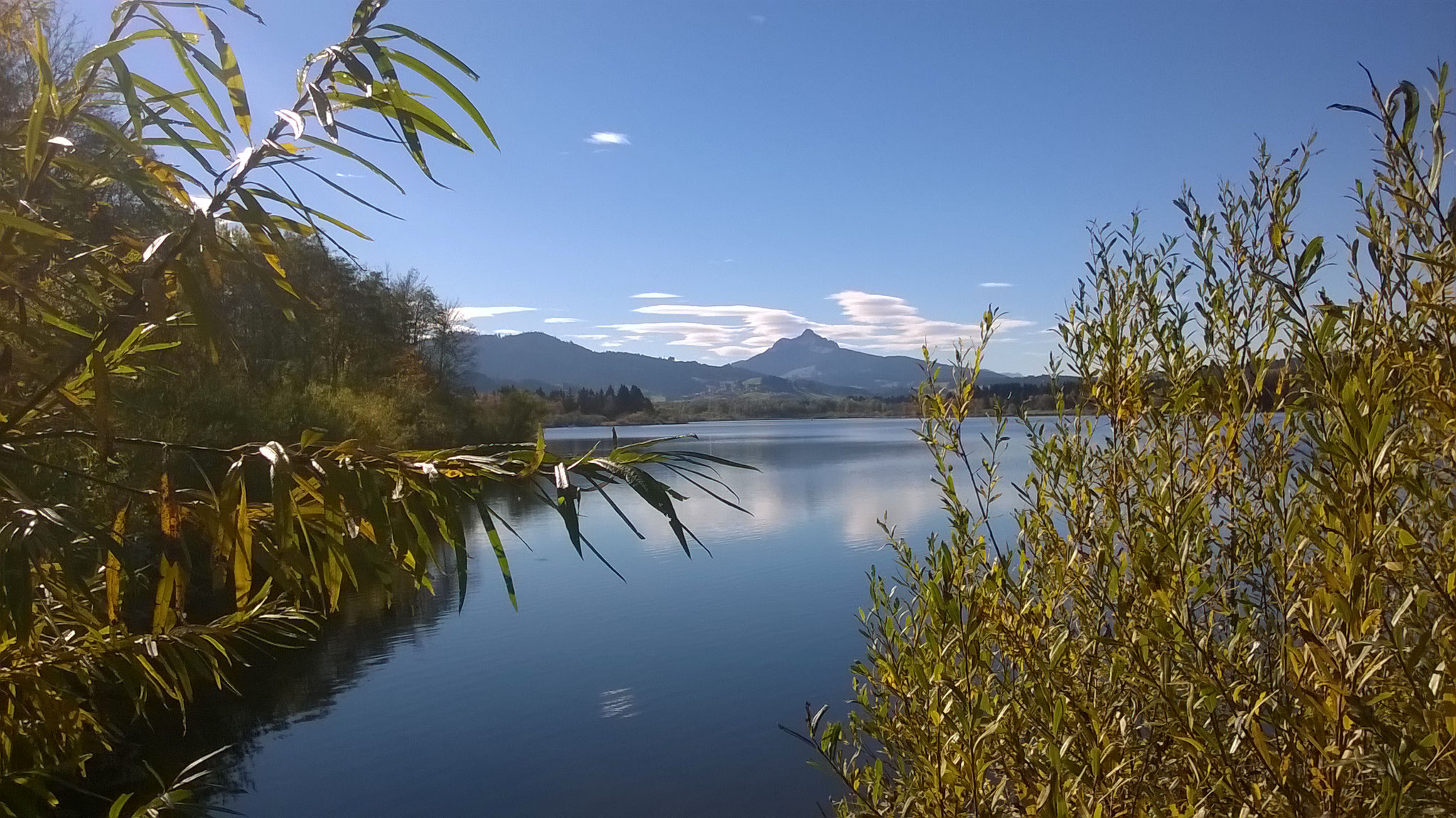 Badesee in der Umgebung