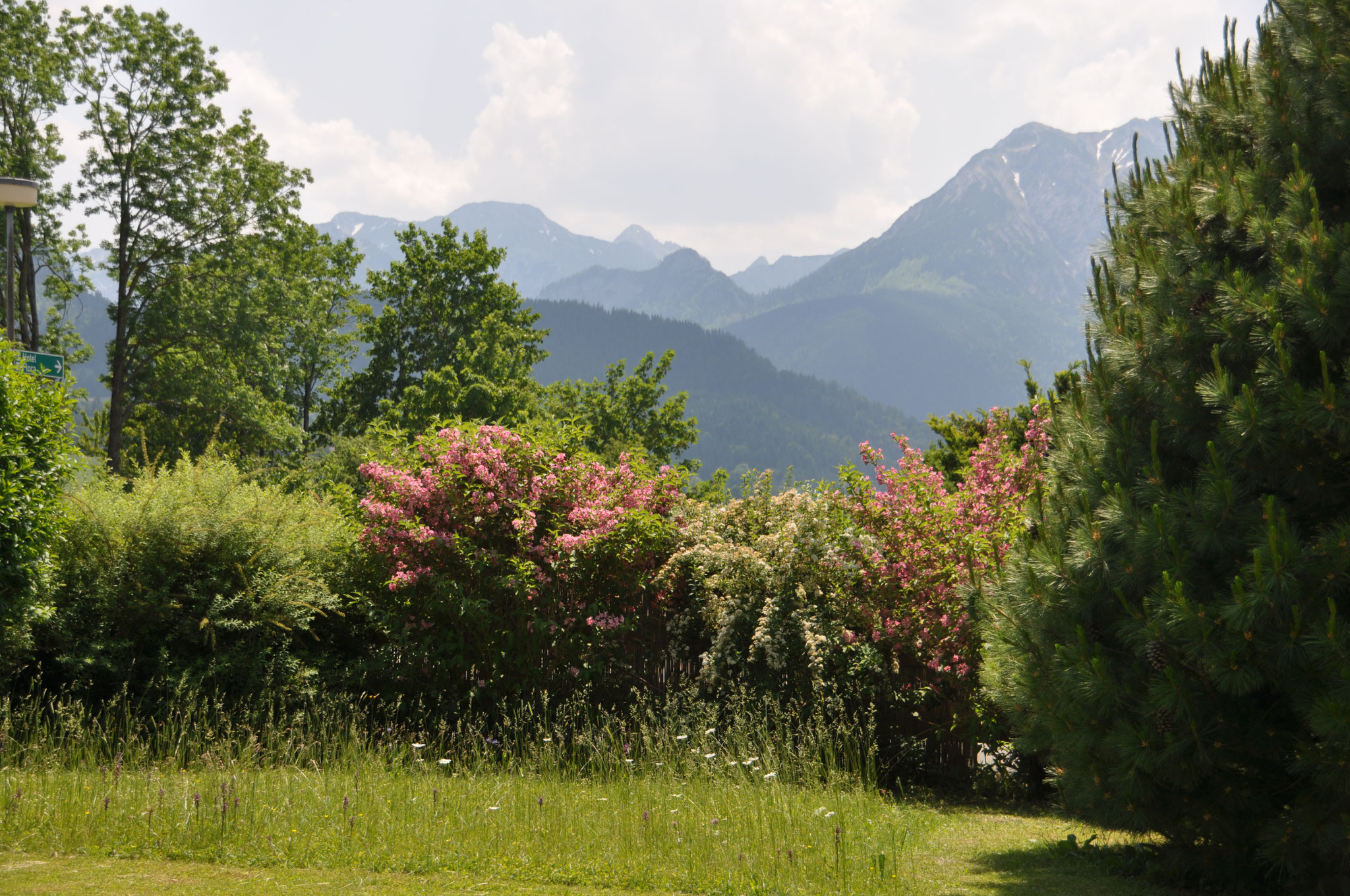 Österreichische Alpen