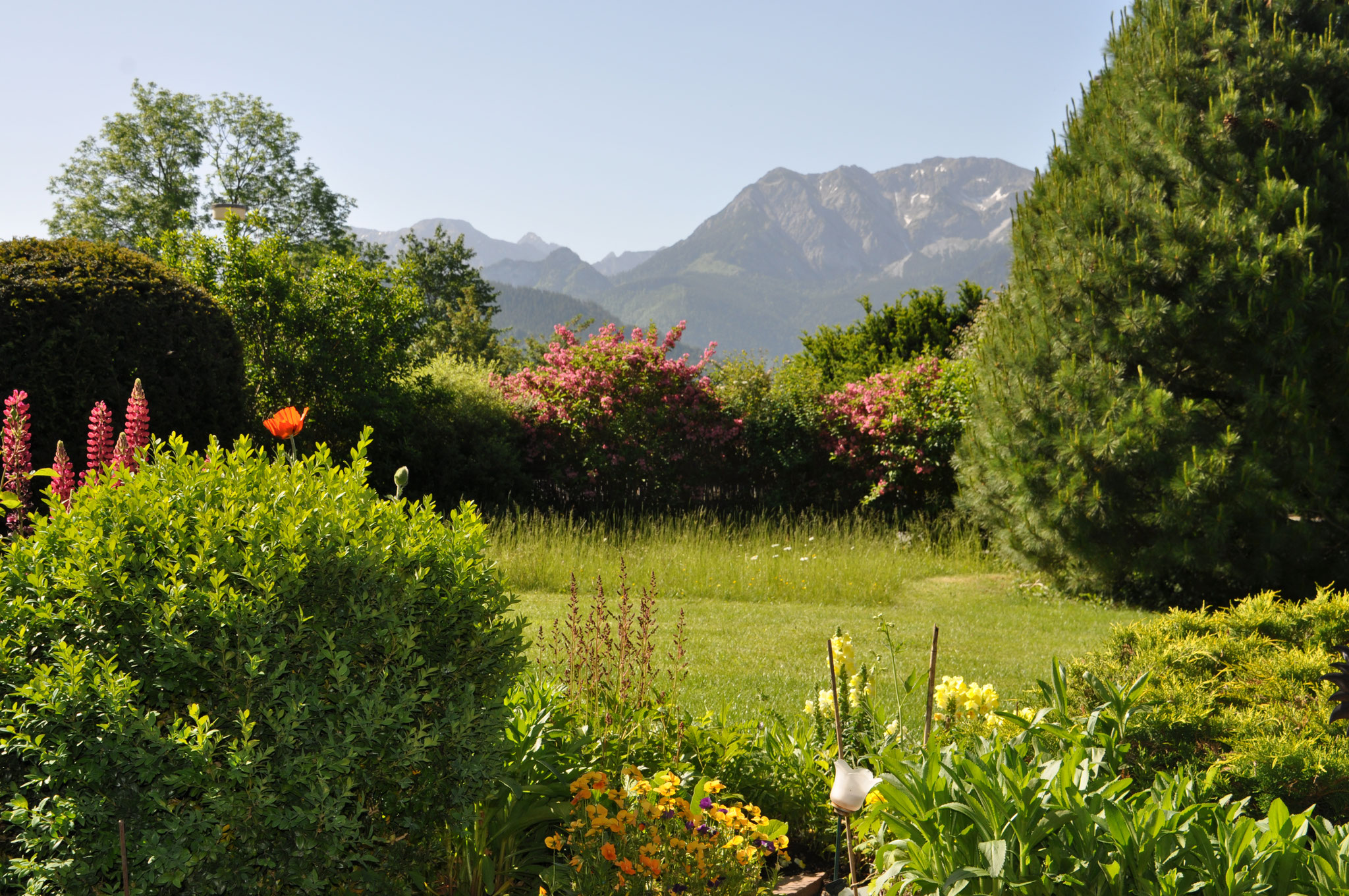 Bergblick vom Garten aus