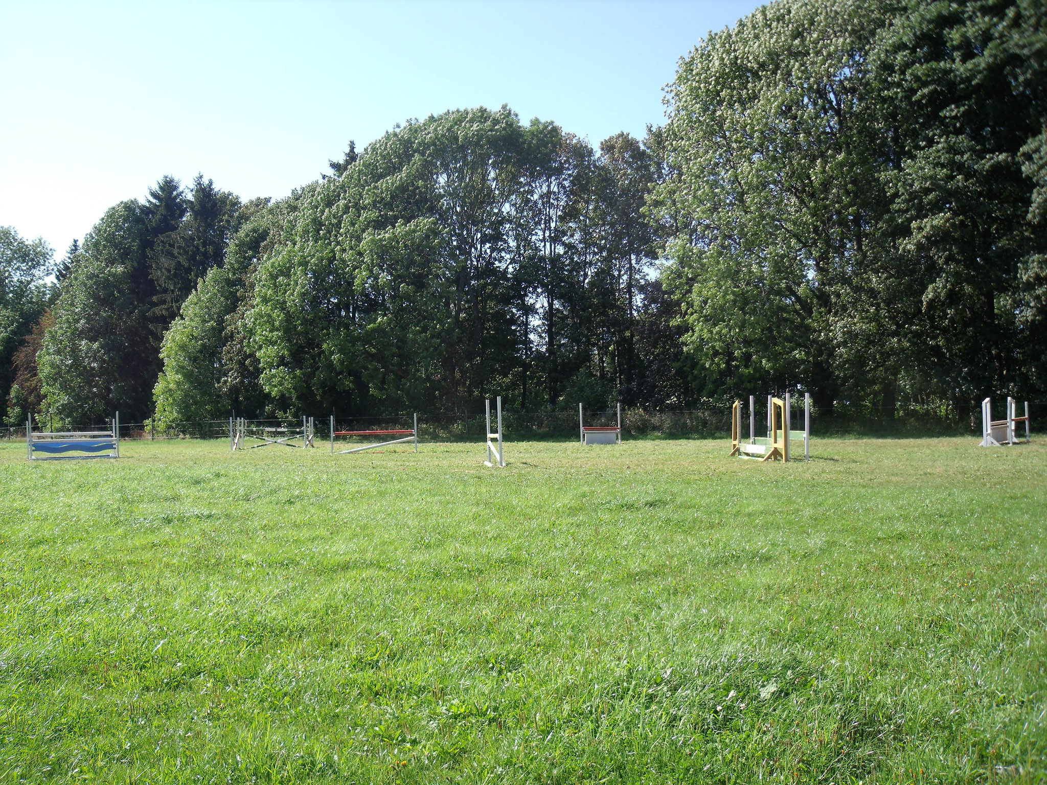 Rasenspringplatz