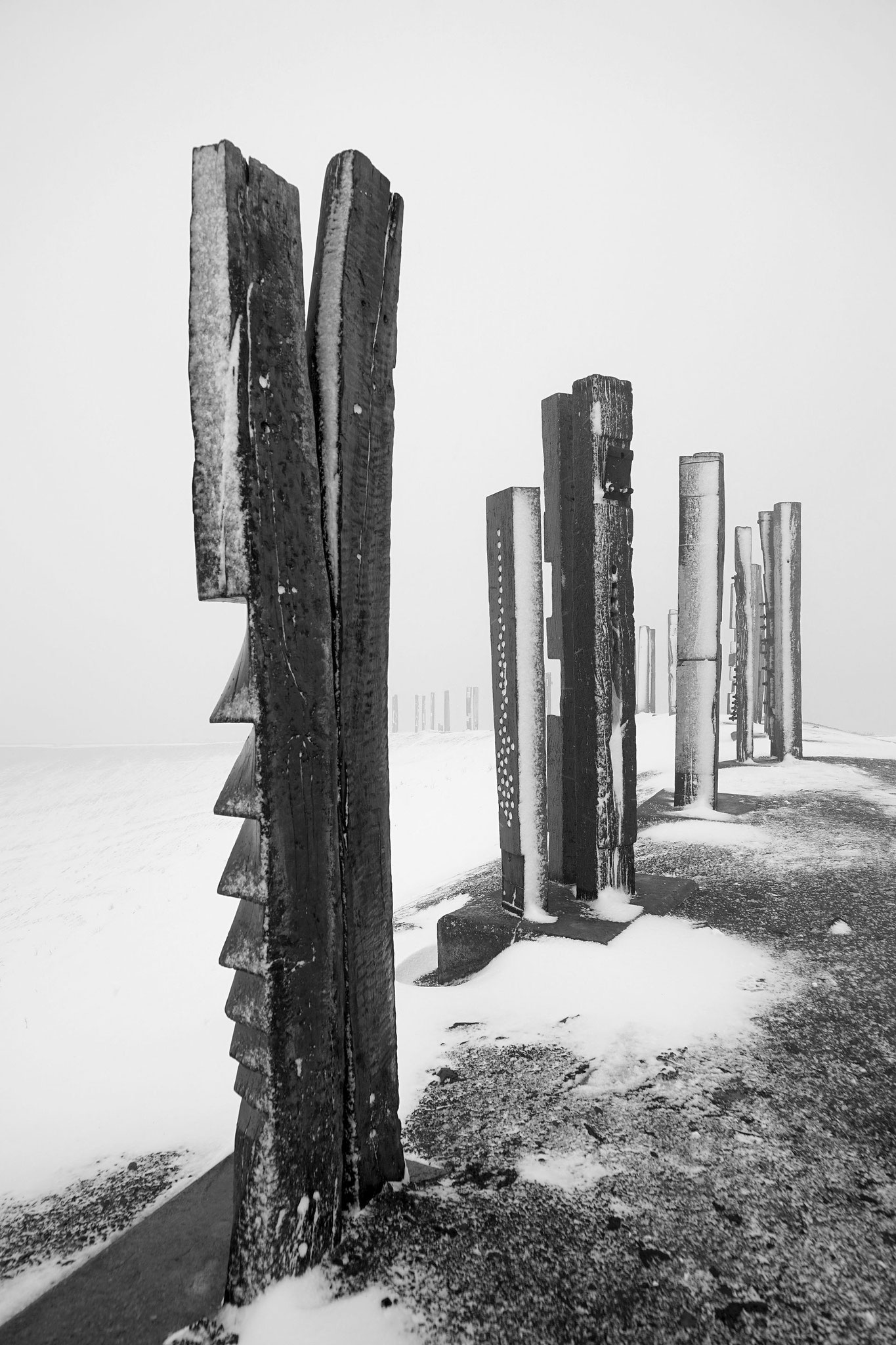 Ruhr Art - Halde Haniel 2