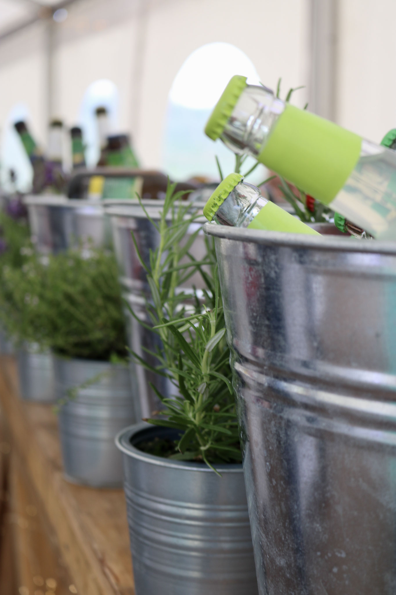 Eventkonzeption - Sommerfest - Geburtstagsfeier