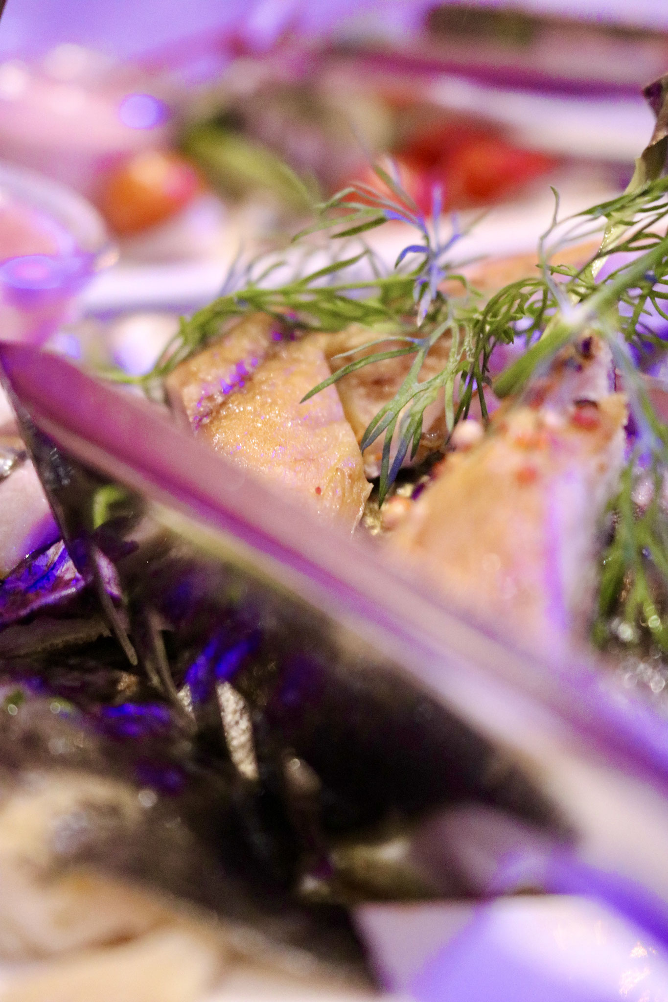 Catering - Vorspeise - Goldene Hochzeit