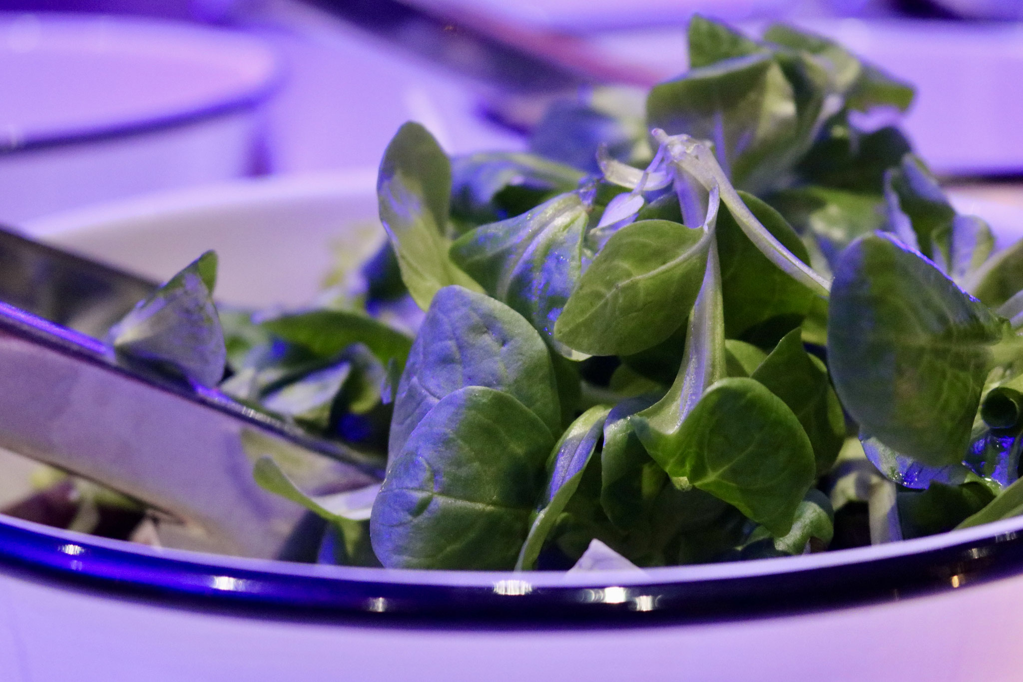Catering - Buffet - Firmenfest