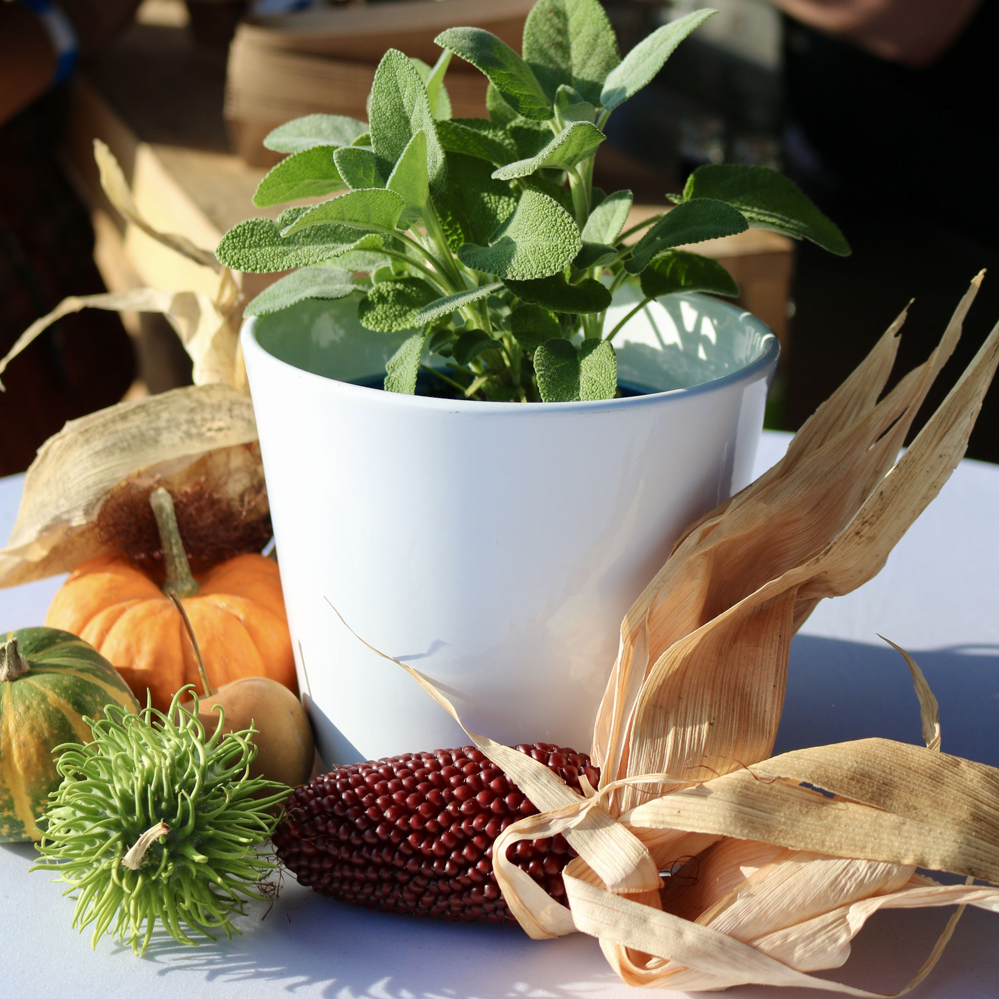 Catering - Streetfood - Firmenfest