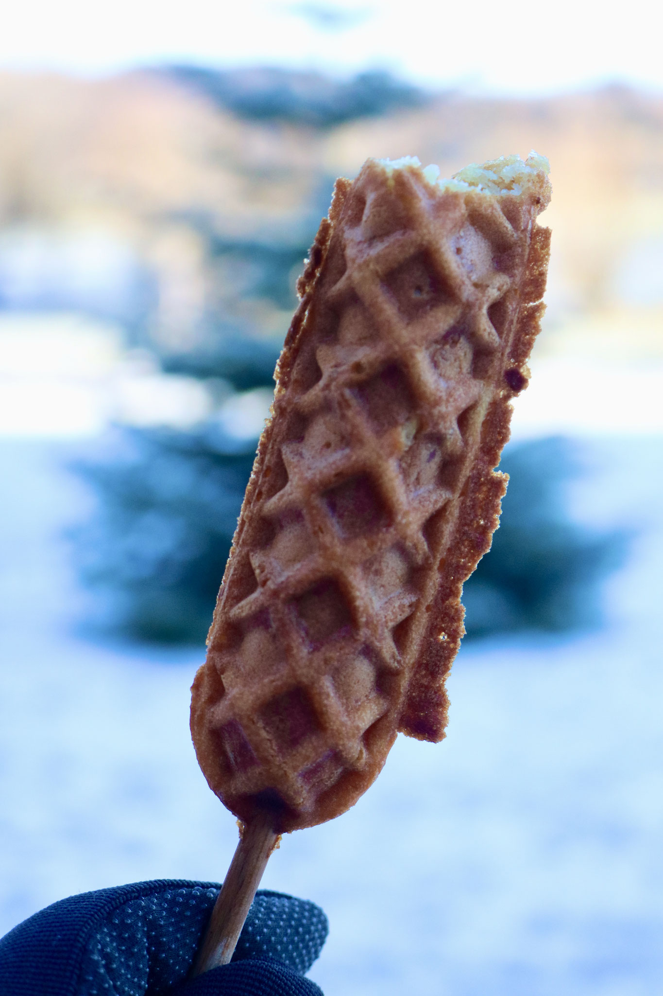 Dessert - Streetfood - Firmenfest