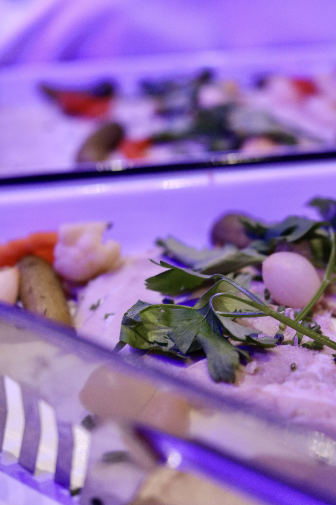 Catering - Buffet - Firmenfest