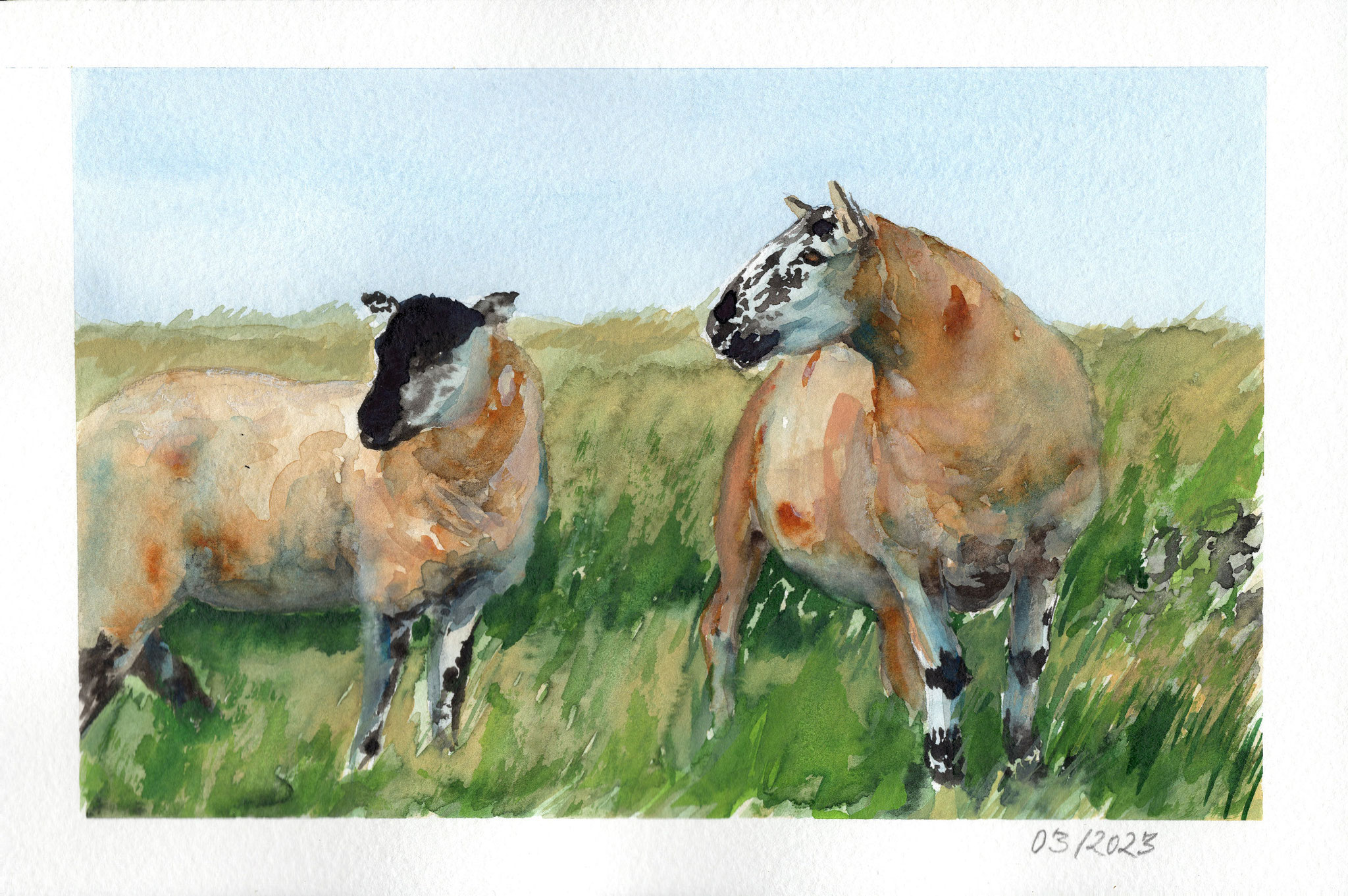 SOLD | VERKAUFT - Schale in Südwales (UK), Aquarell