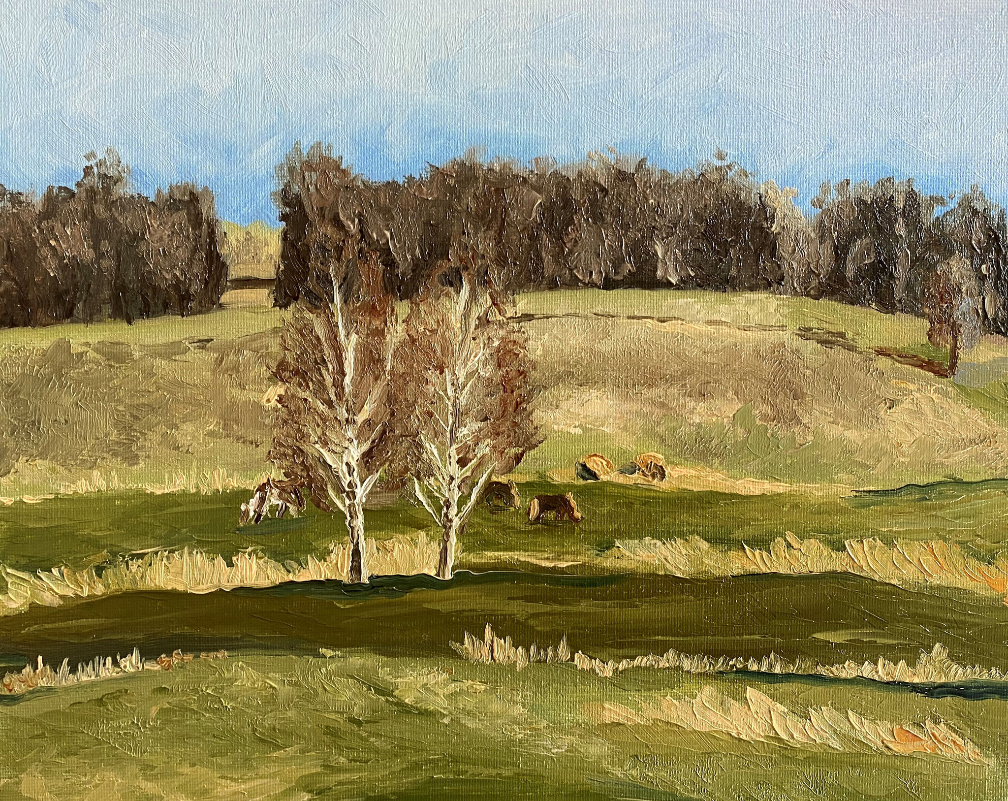 Moritzburger Wiesenlandschaft, Öl auf Malkarton (24 x 30 cm)