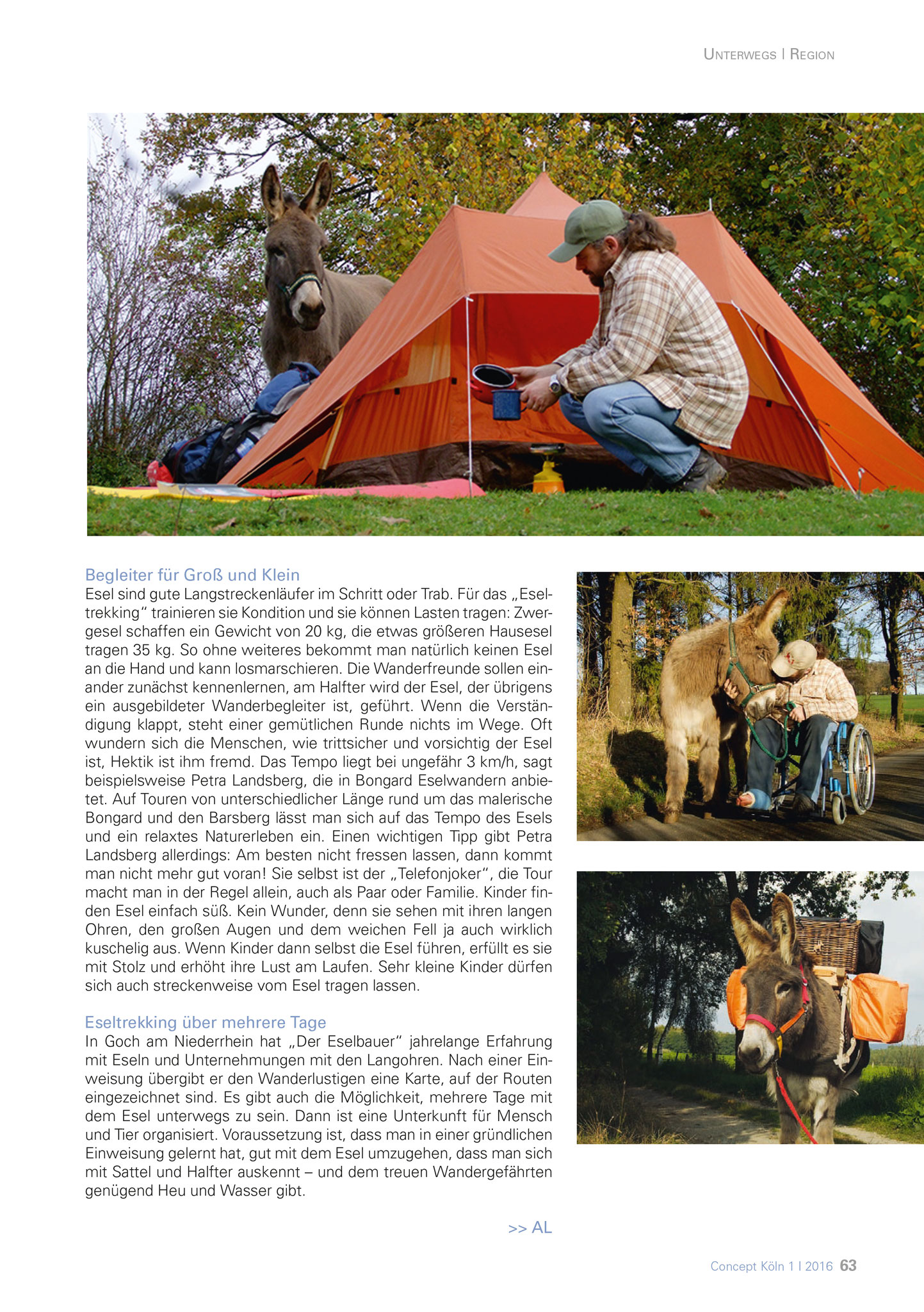 Concept-Magazin Mai 2016