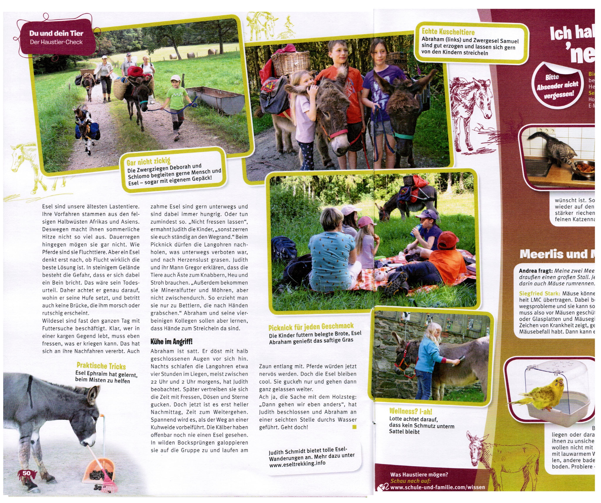 Tierfreund 2017