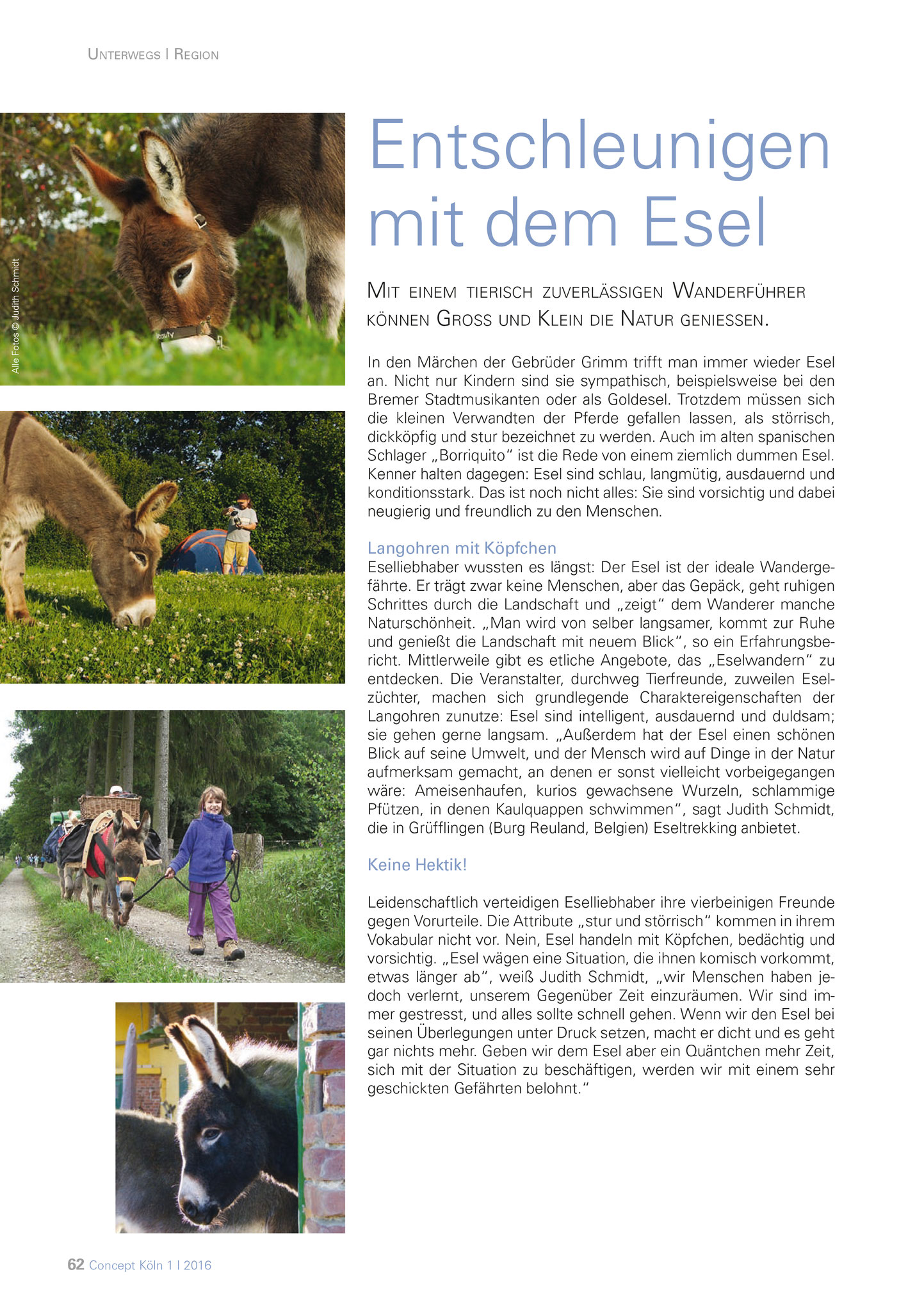 Concept-Magazin Mai 2016