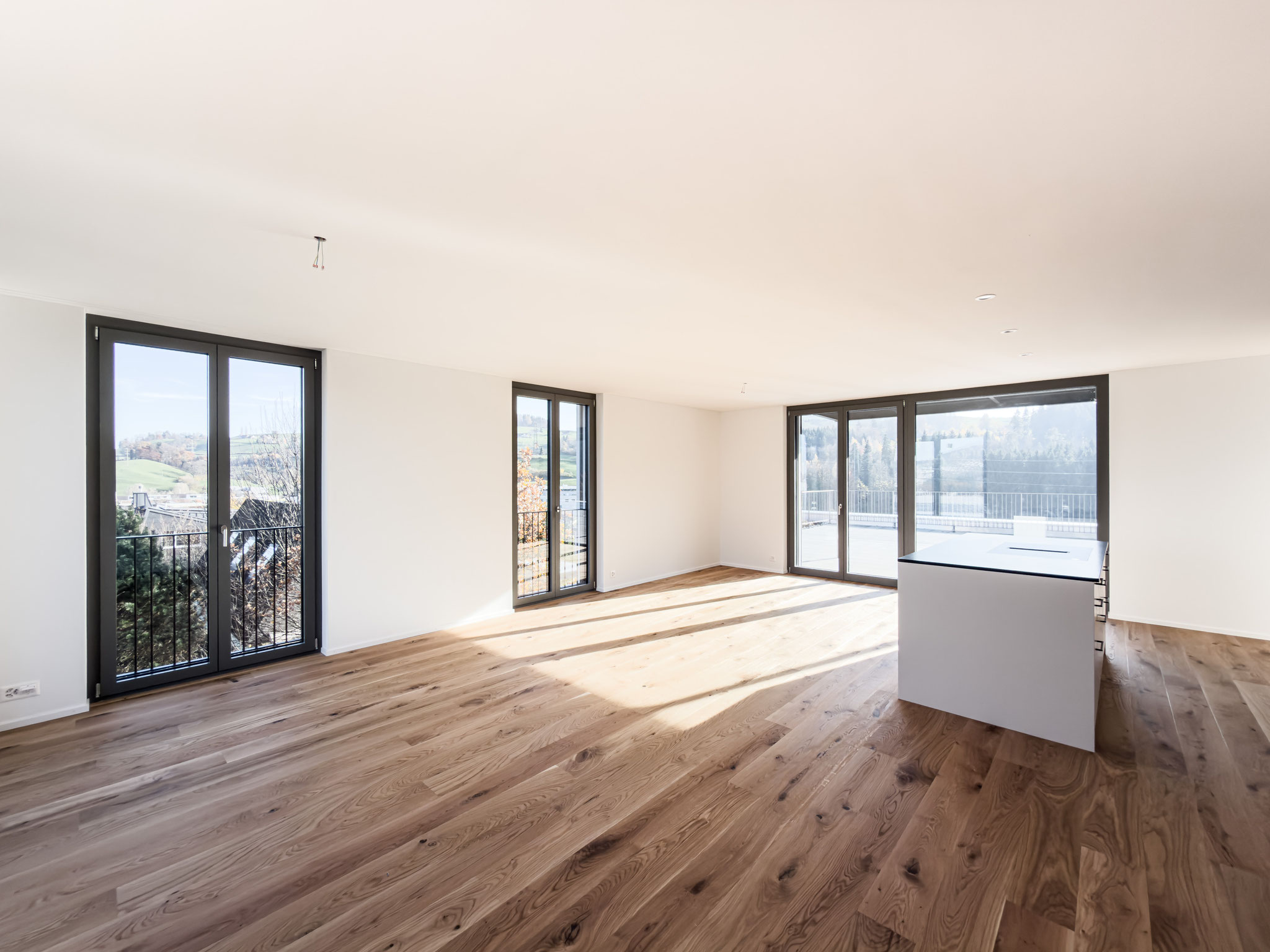 Wohnung kaufen St. Gallen Eigentumswohnung SHOR8
