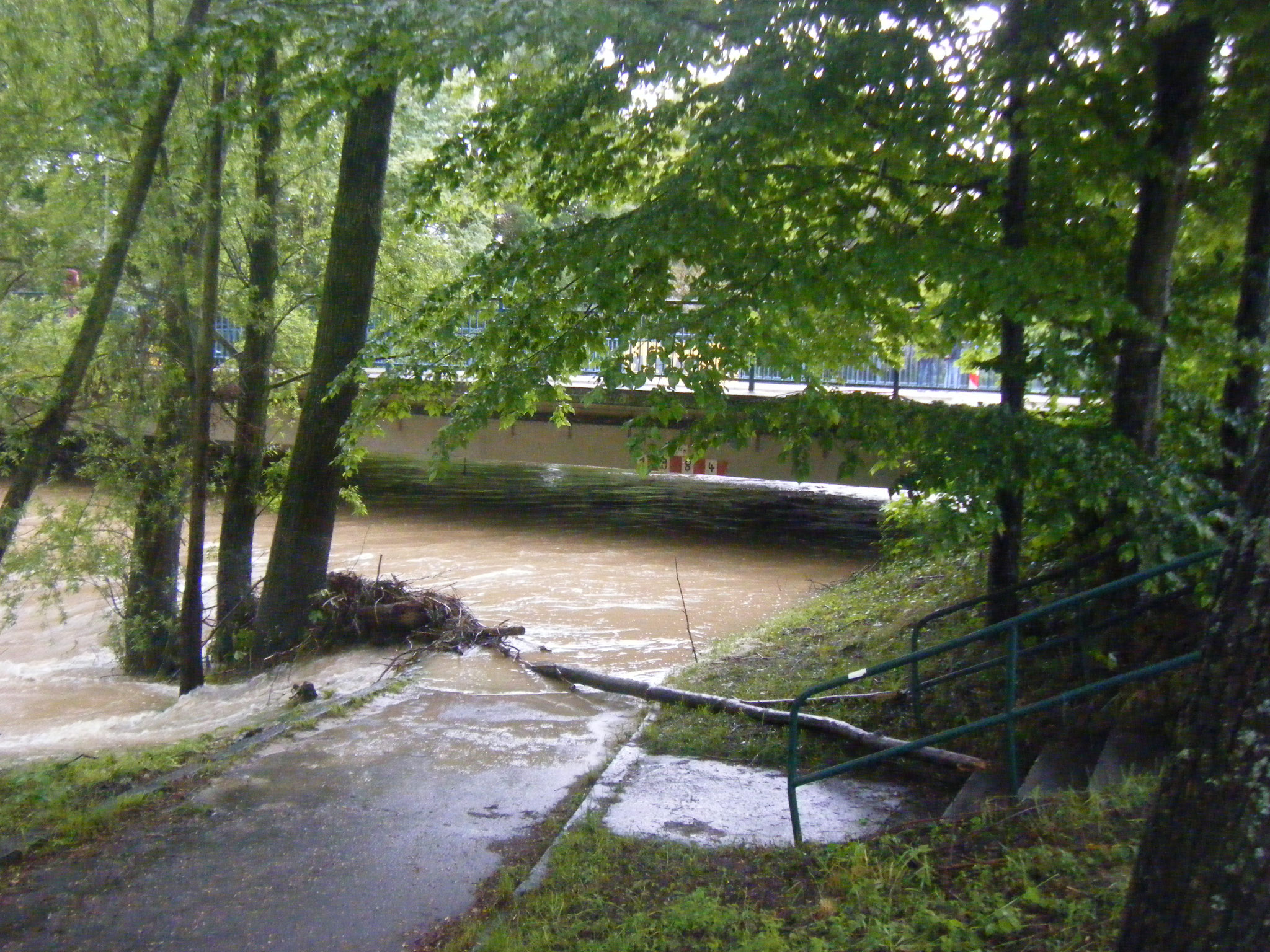 Sperrige Treibgutfracht unterhalb der Brücke Lindauer Straße