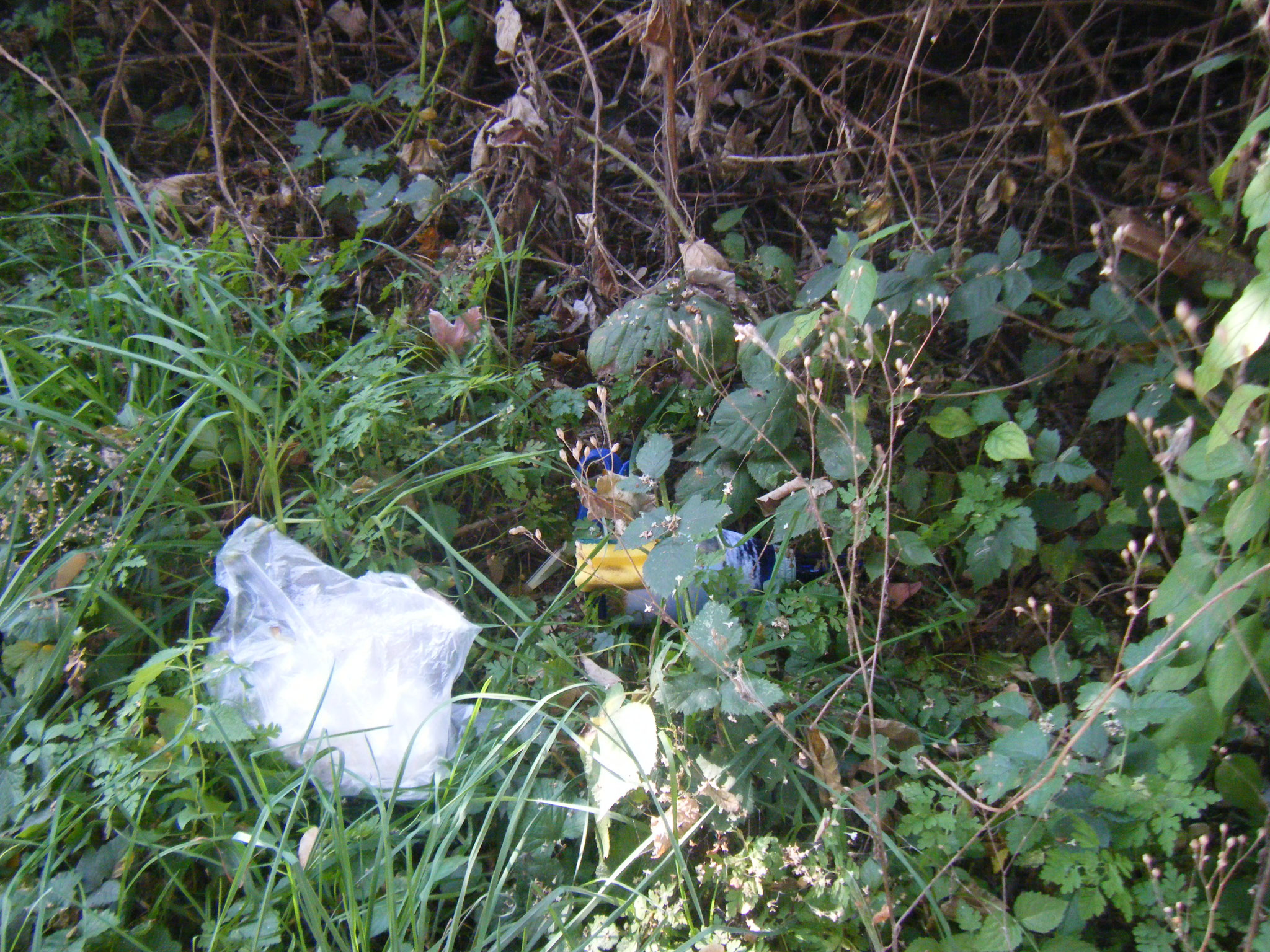 Hausmüllentsorgung an der Rotach: Schere, Spülschwamm, Flasche, Tüte Hausmüll