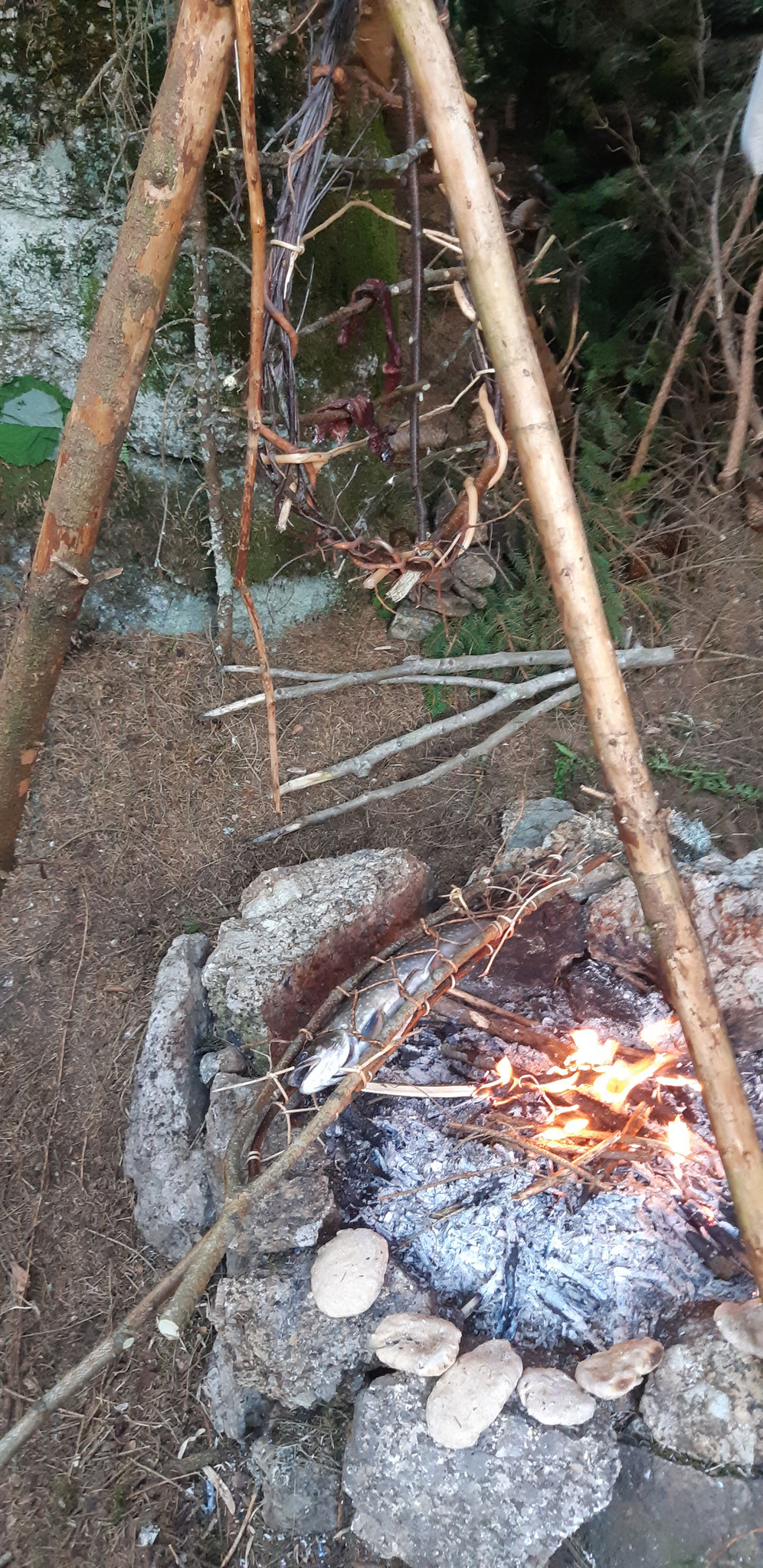 Wildniswissen gibt Sicherheit