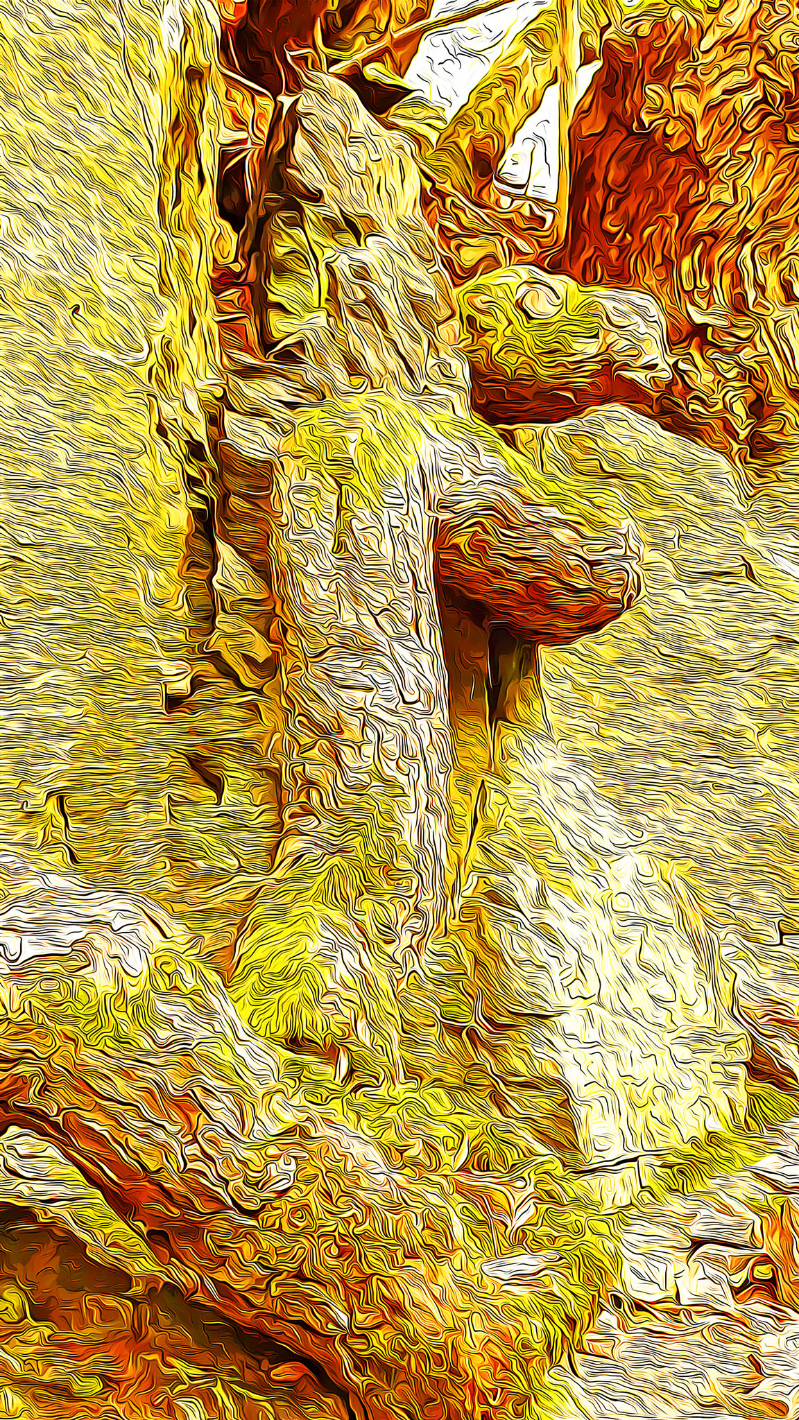 Wurzelschlange 1, 2018