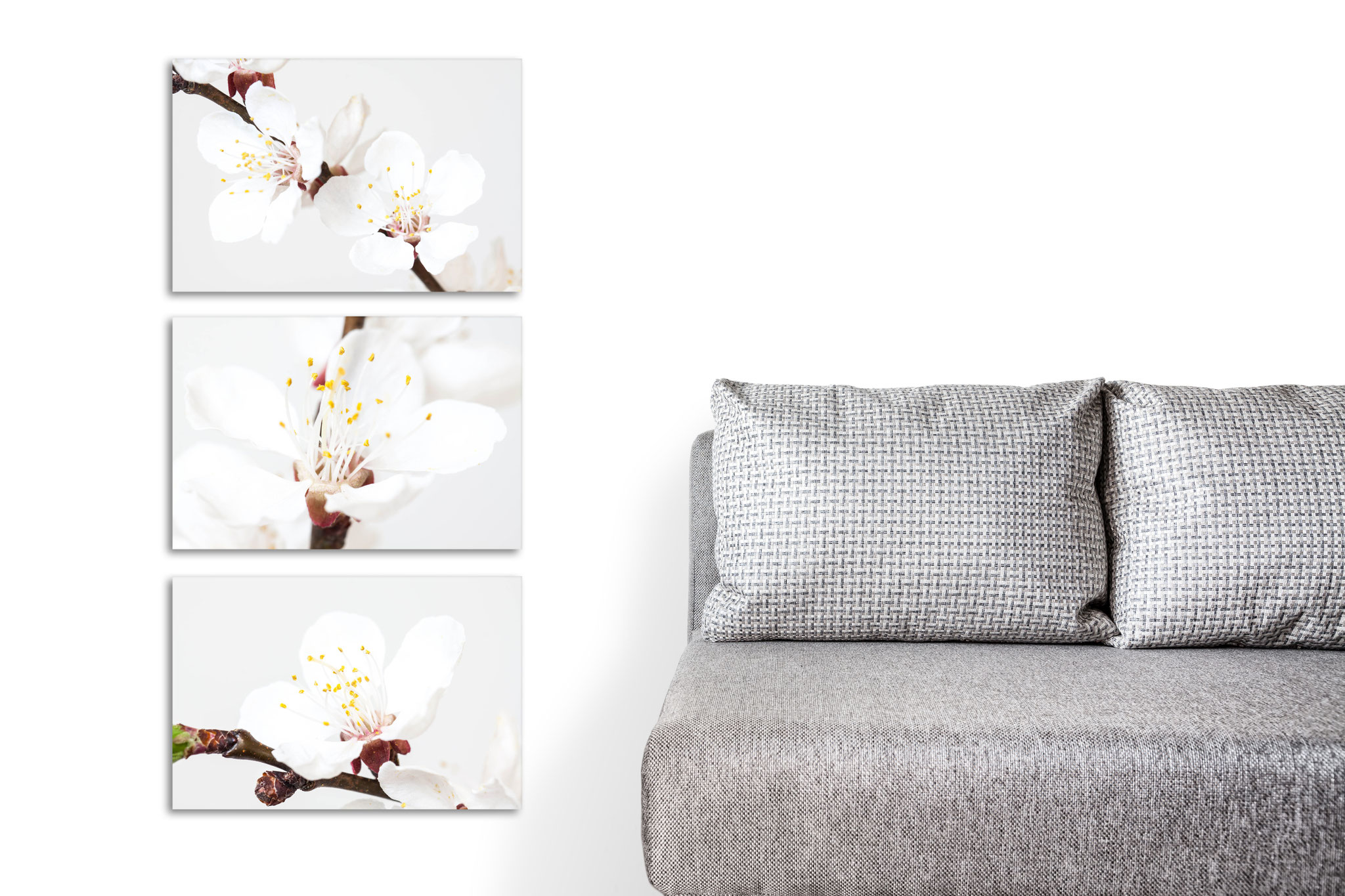 Large Photo Printing and Framing The Sign Factory Malta