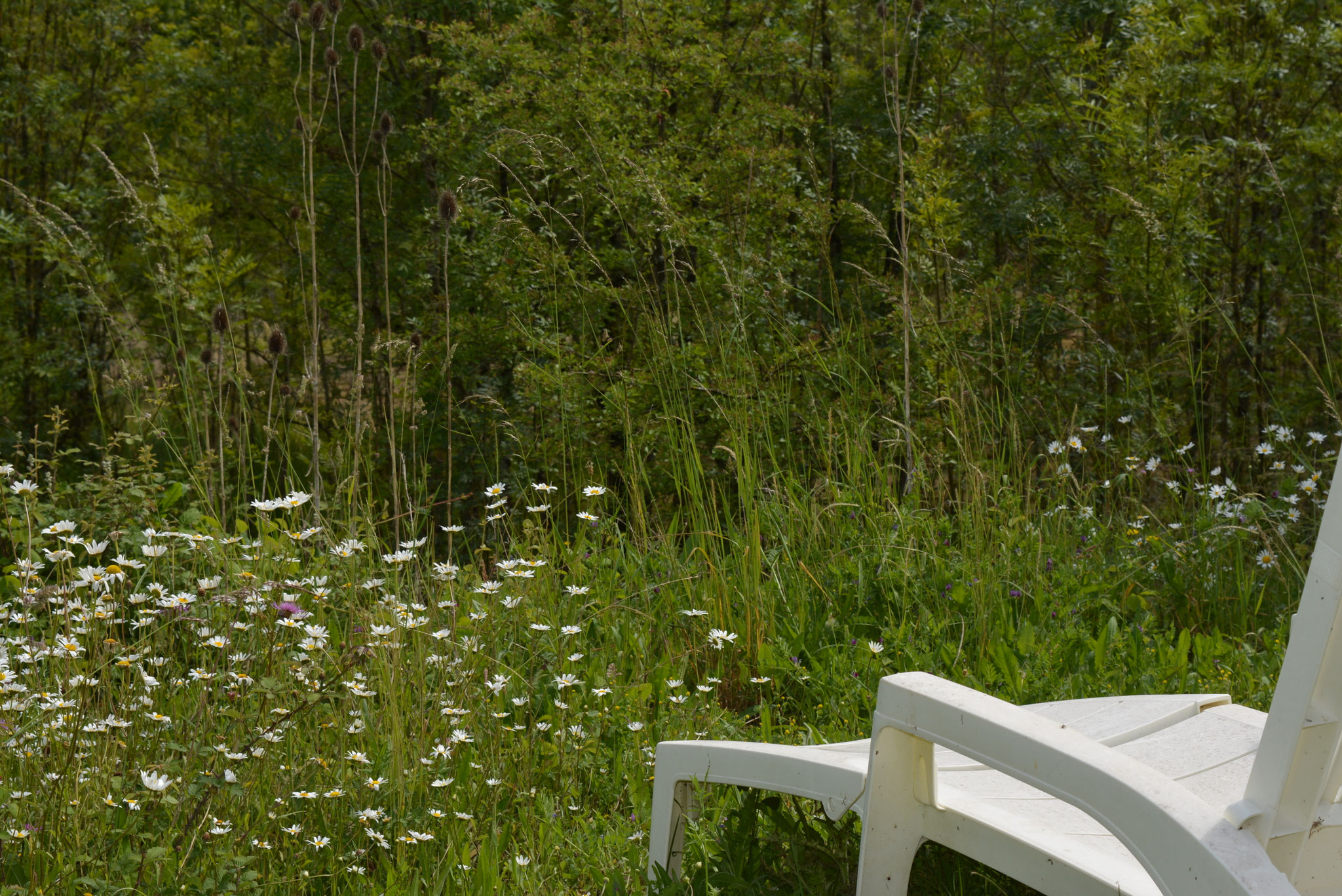 Une pause face à la nature