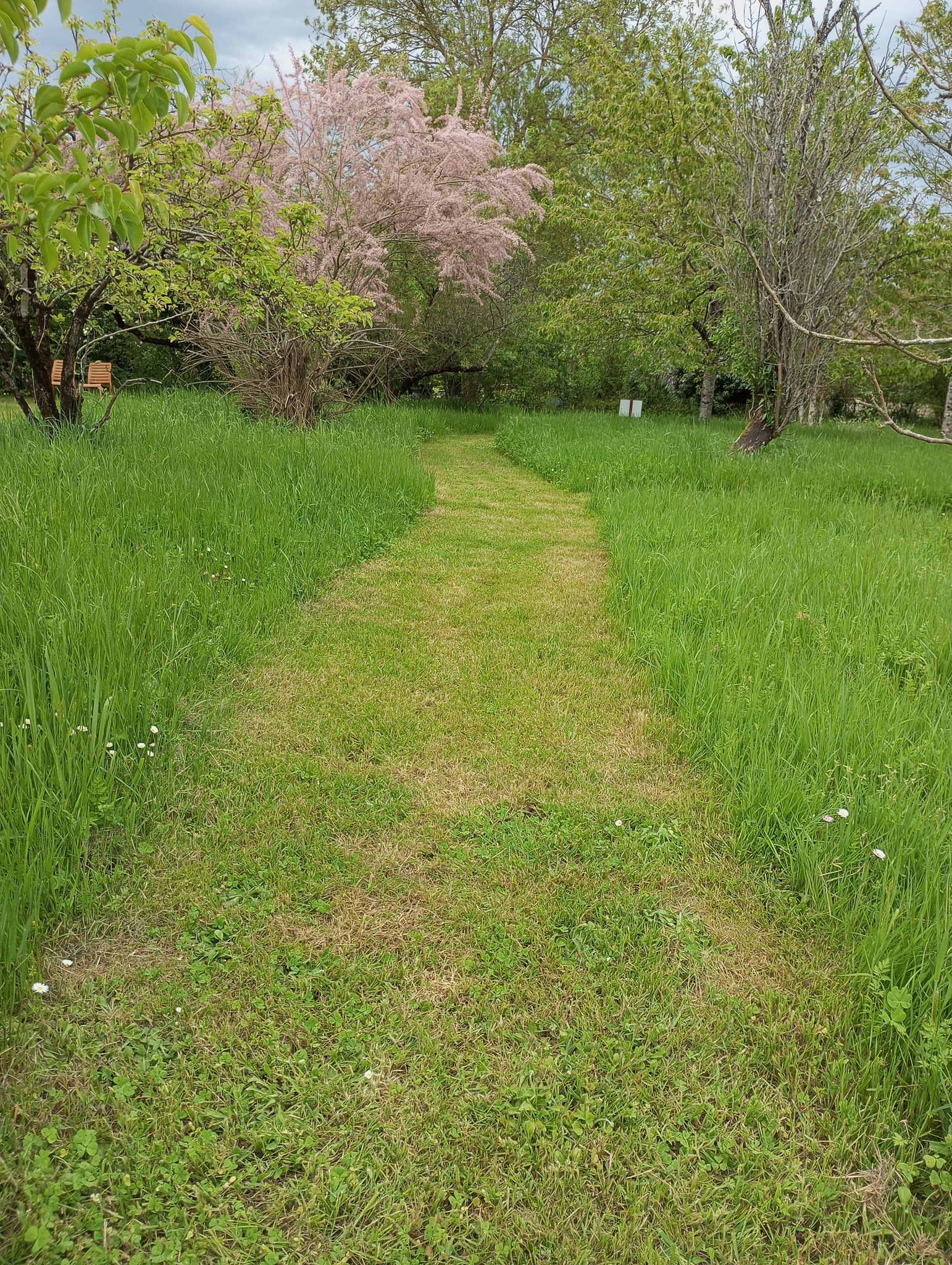 Biodiversité préservée