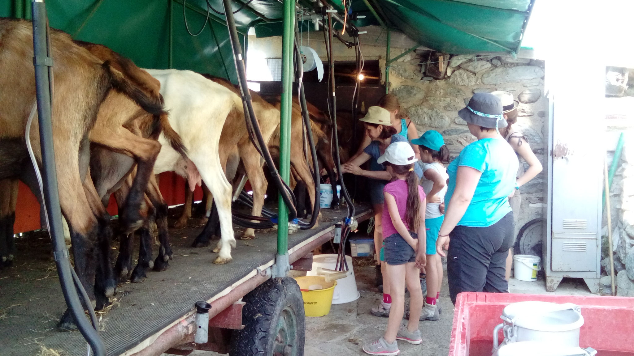 atelier traite