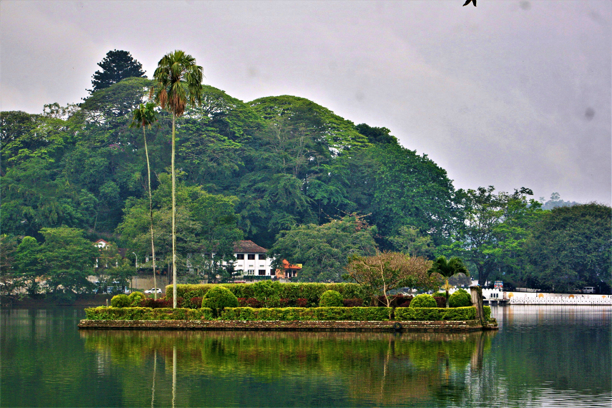 Kandy Sightseeing