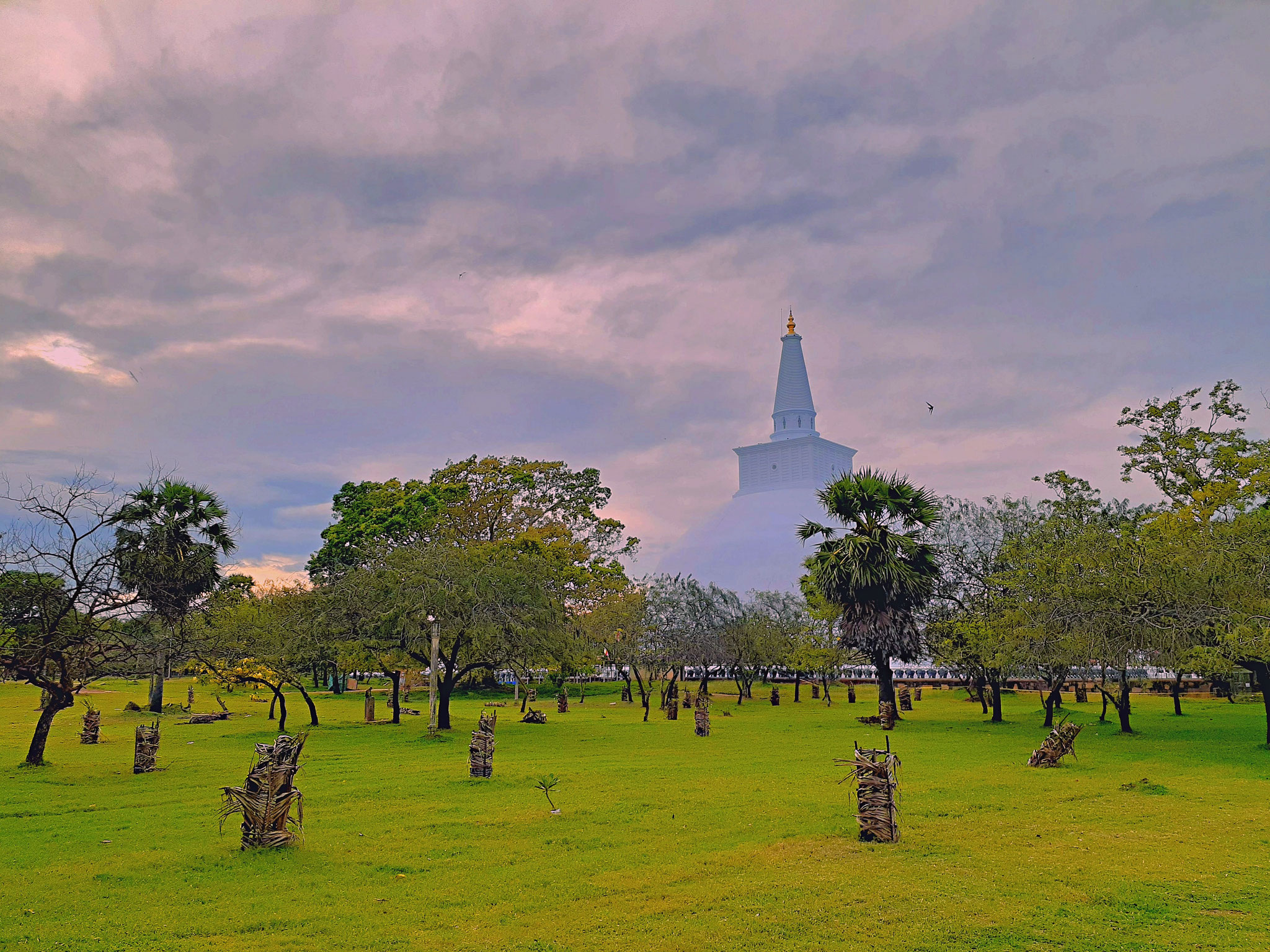 Pilger- und Ausgrabungsstätte, Anuradhapura