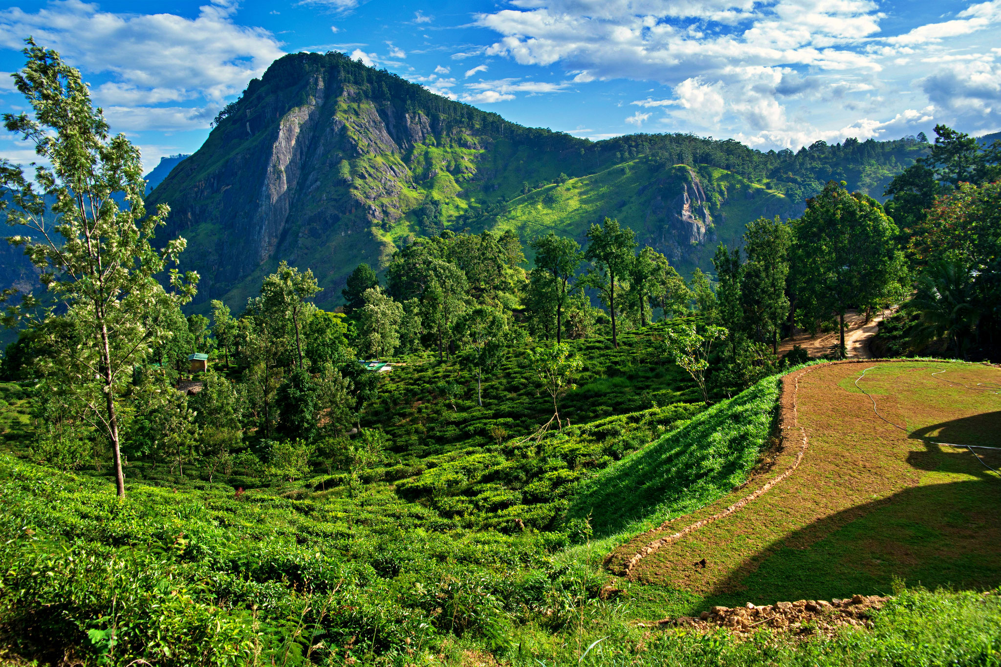 Aussicht von Little Adams Peak