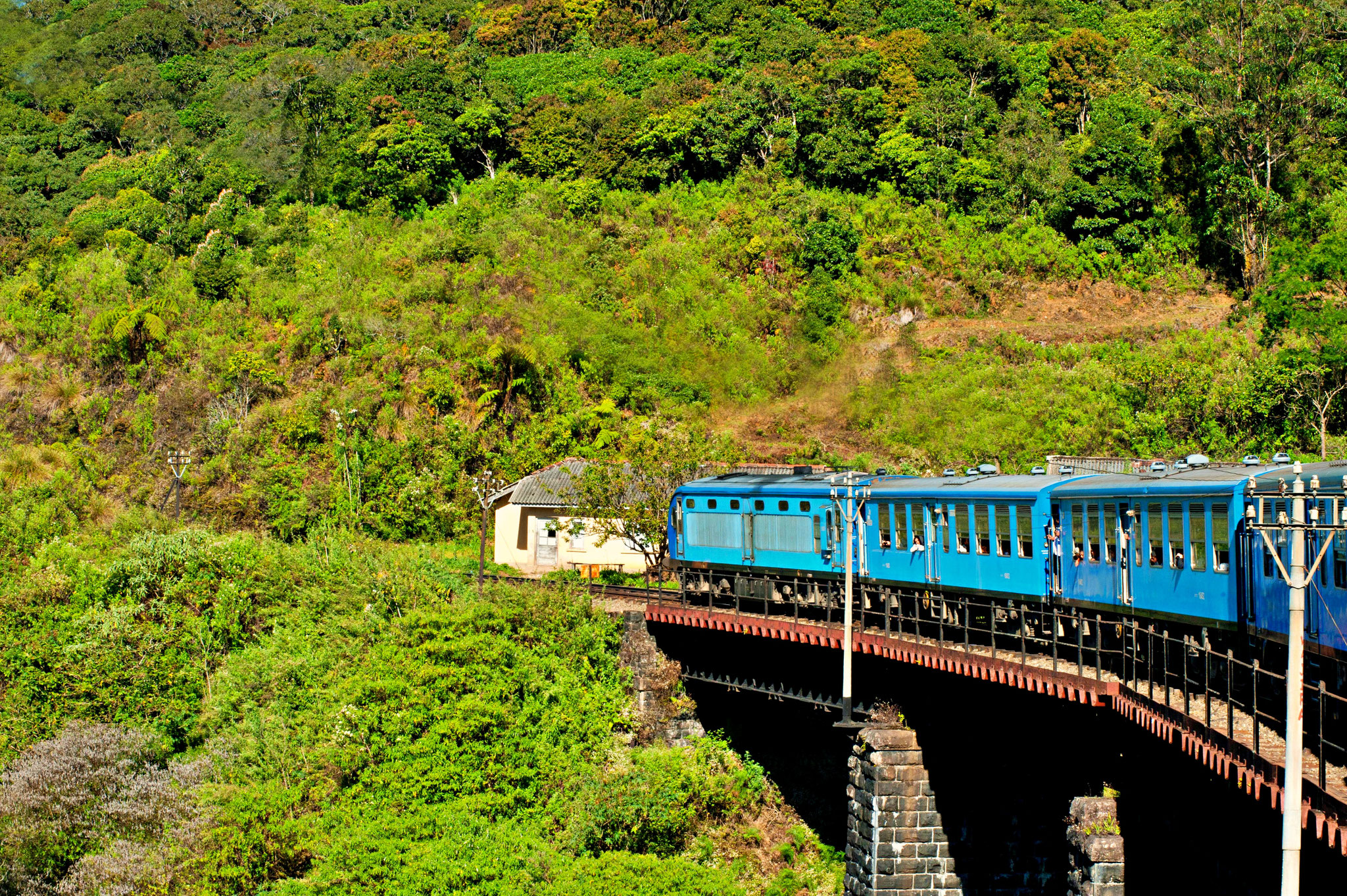 Berühmte Zugfahrt durch Hochland von Nuwara Eliya nach Ella