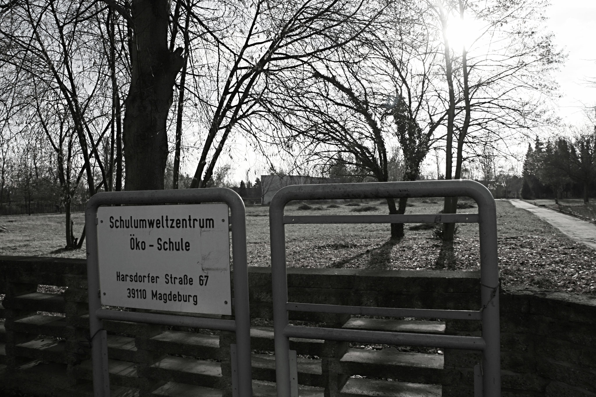 Impressionen Gelände ehemaliges Otto von Guericke Gymnasium, Magdeburg