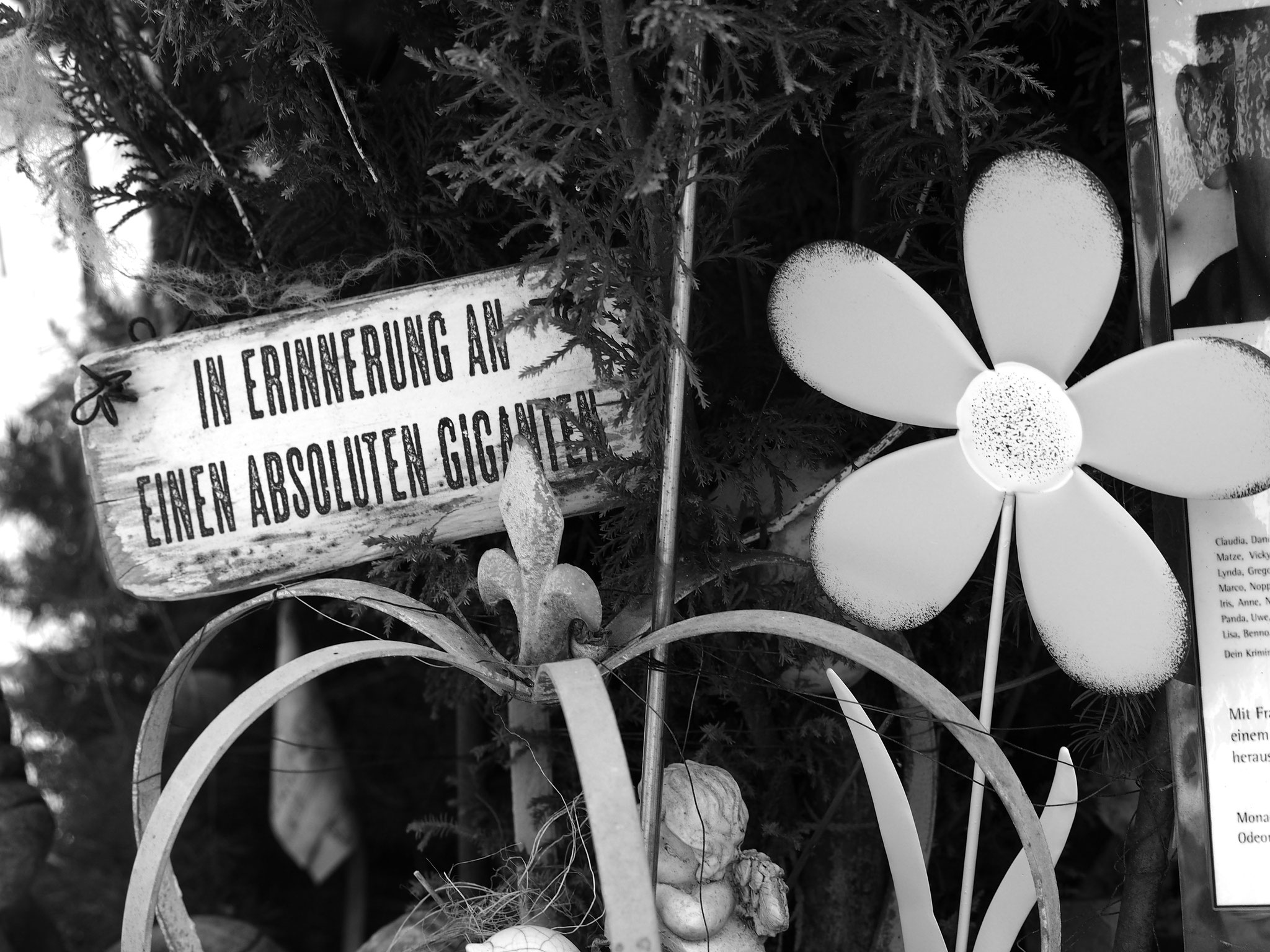 Impressionen Grab Frank Giering (Neustädter Friedhof, Magdeburg)