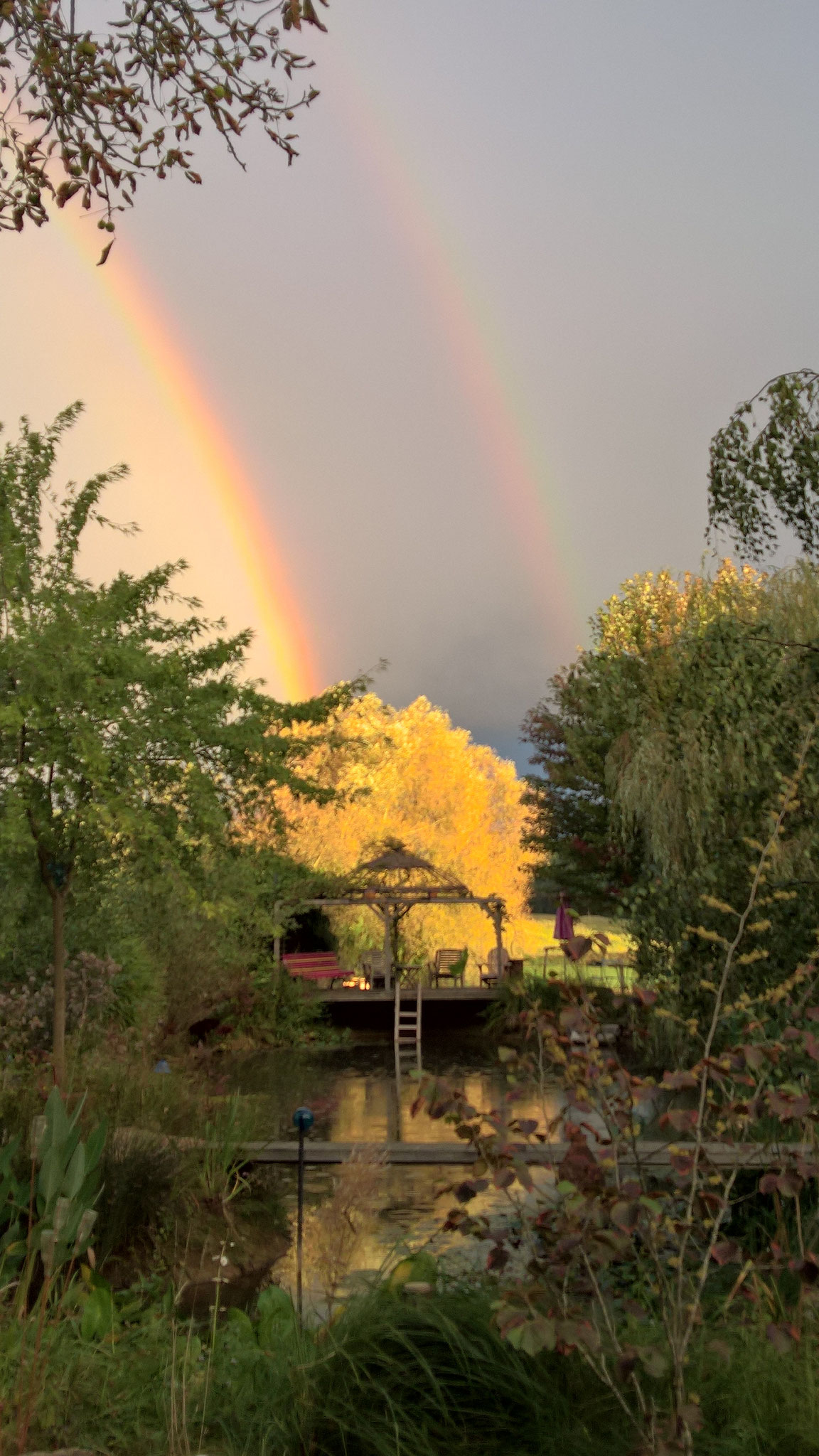 Ein doppelter Regenbogen über dem Biotop