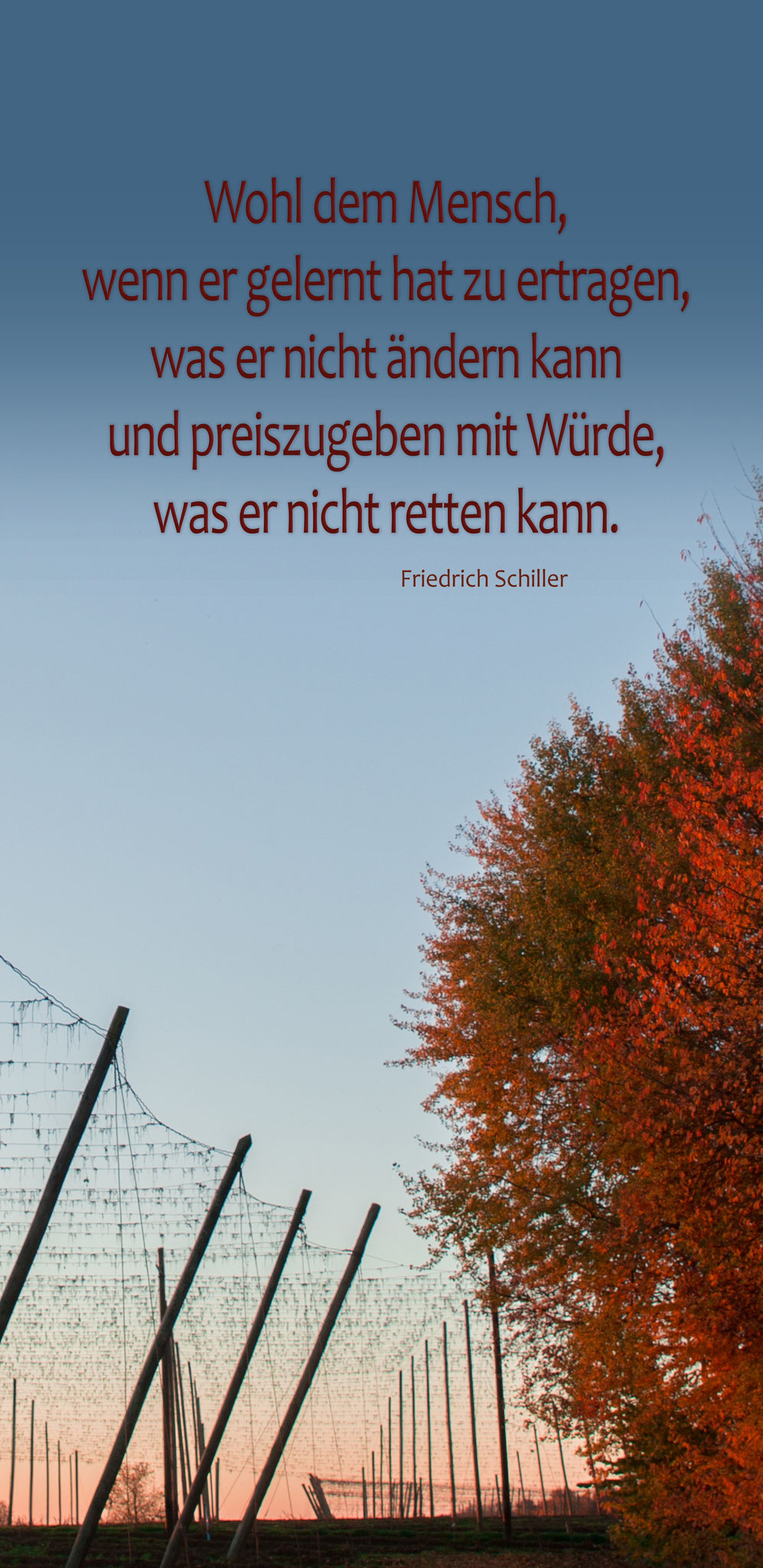 Trauerkarte Text "Friedrich Schiller" Motiv Herbst